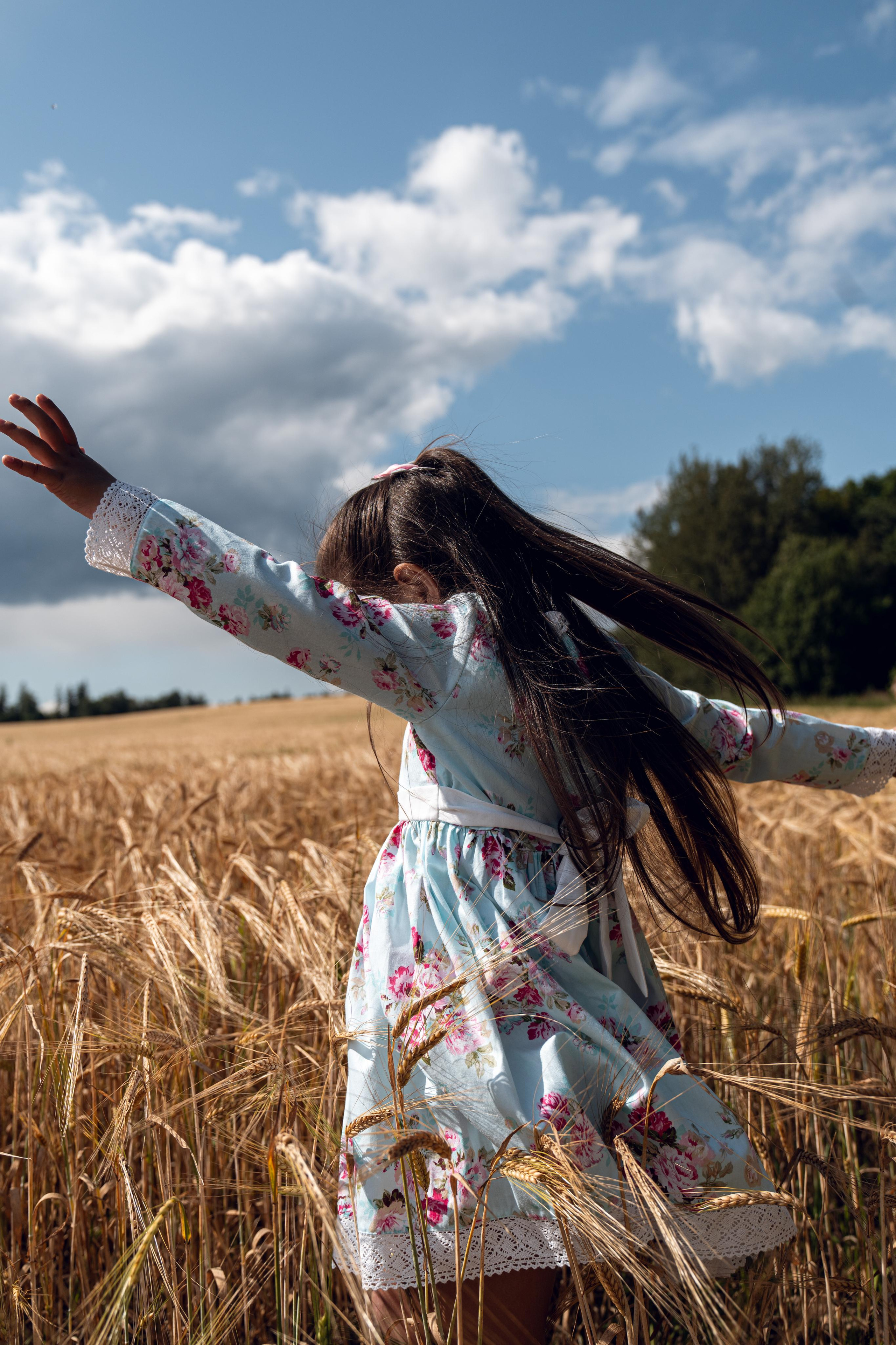 Золотое поле. ...........