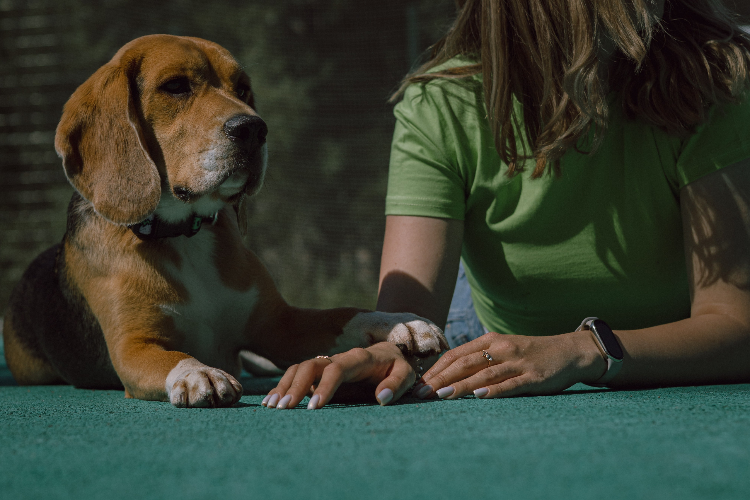 Оуджи и Катя. Фотограф — анималист •love-story•|Санкт-Петербург