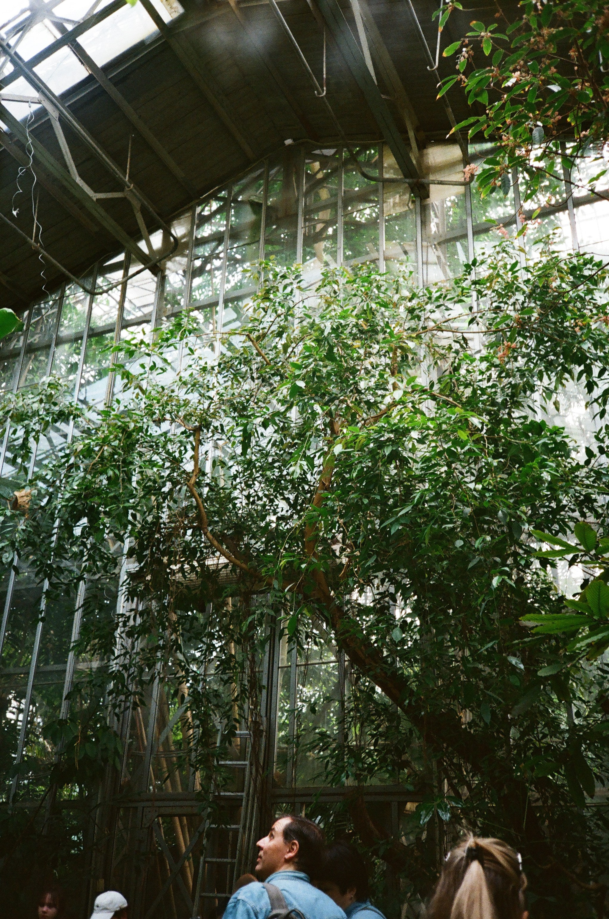 О пленке. Oksan_photo