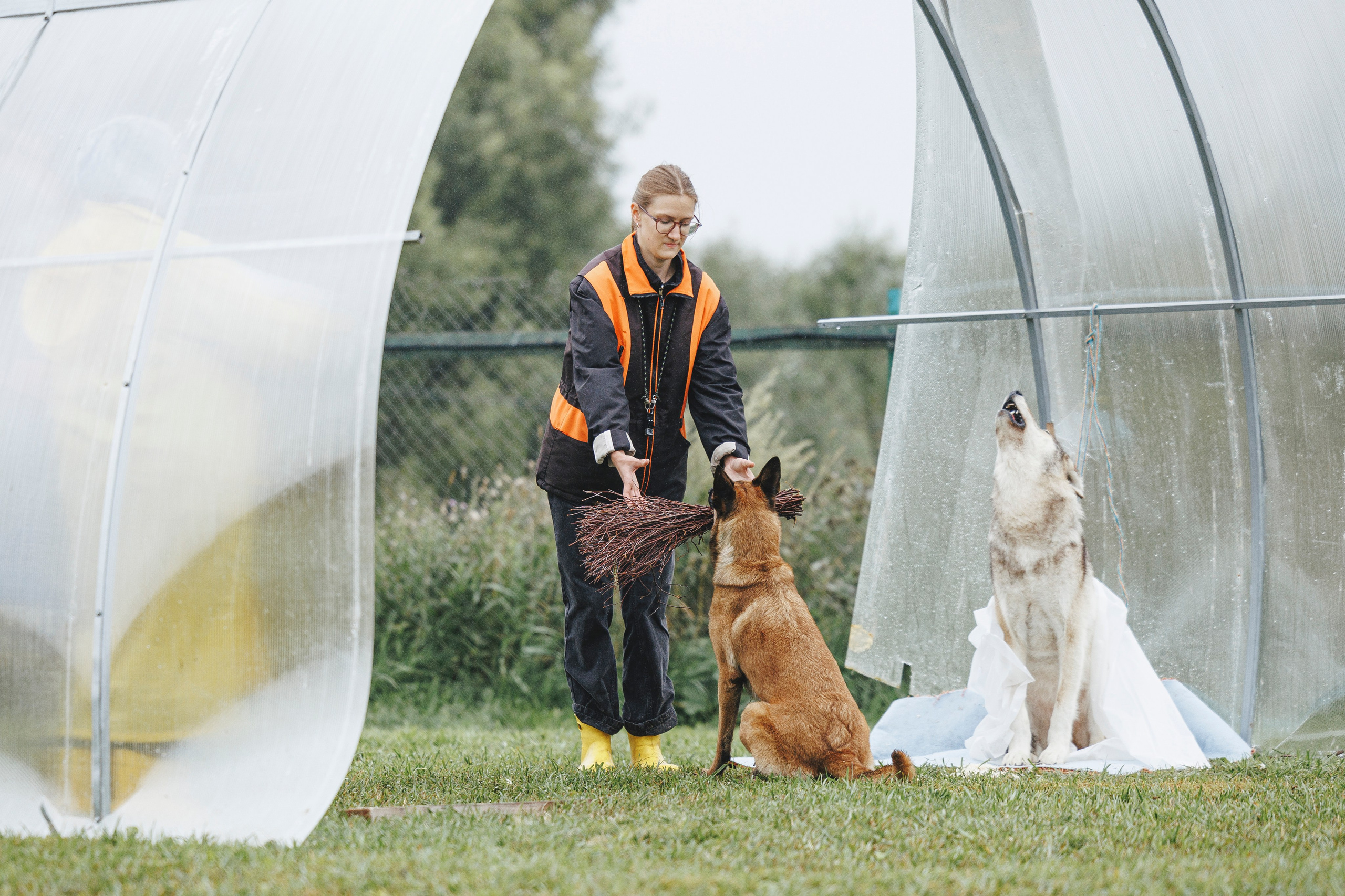 08.08.25-10.08.25 ЧР по мондьорингу г. Вологда. Фотограф-анималист Анна Маринич