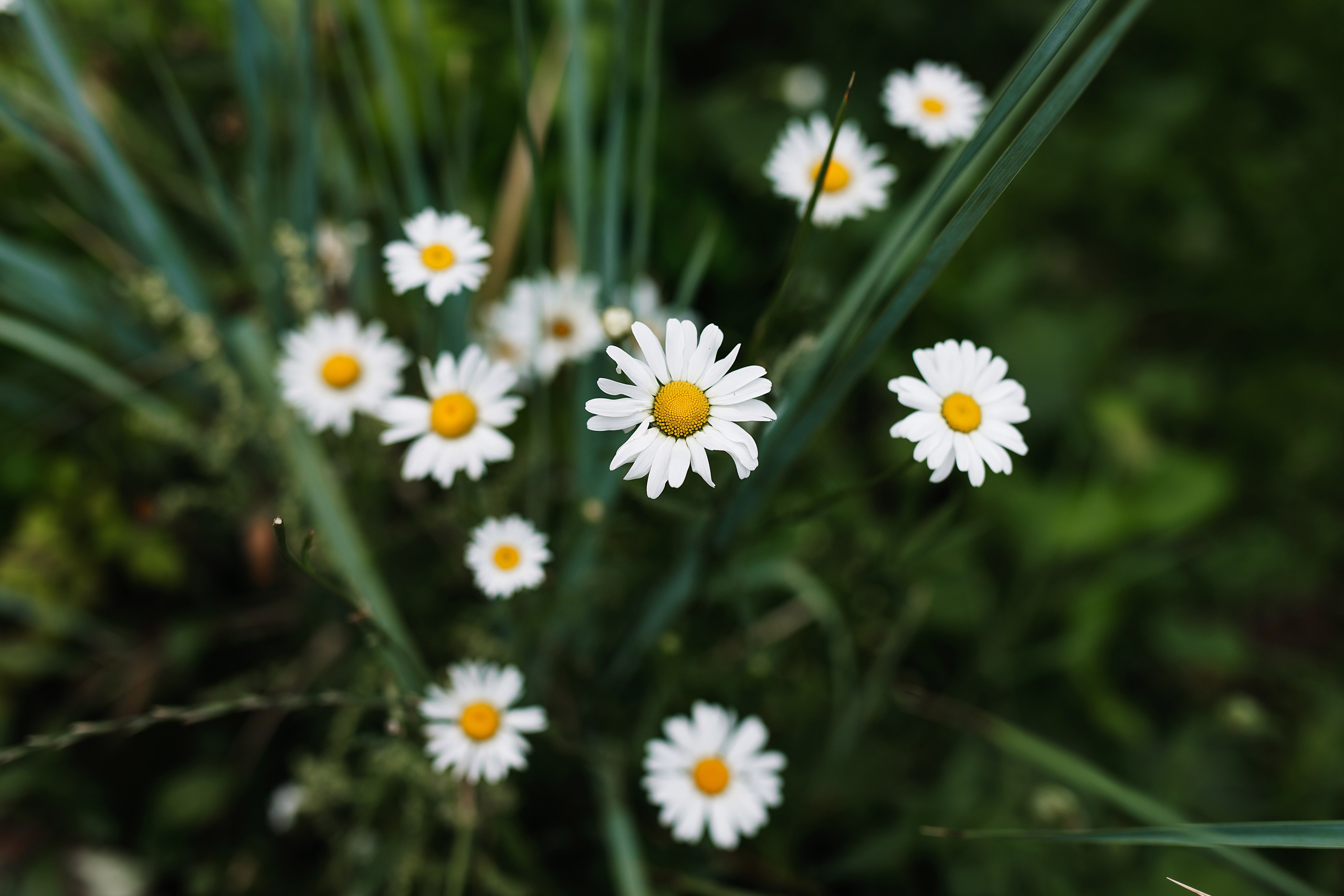 Соня. Городская прогулка. Фотограф Москва Мария Захарова