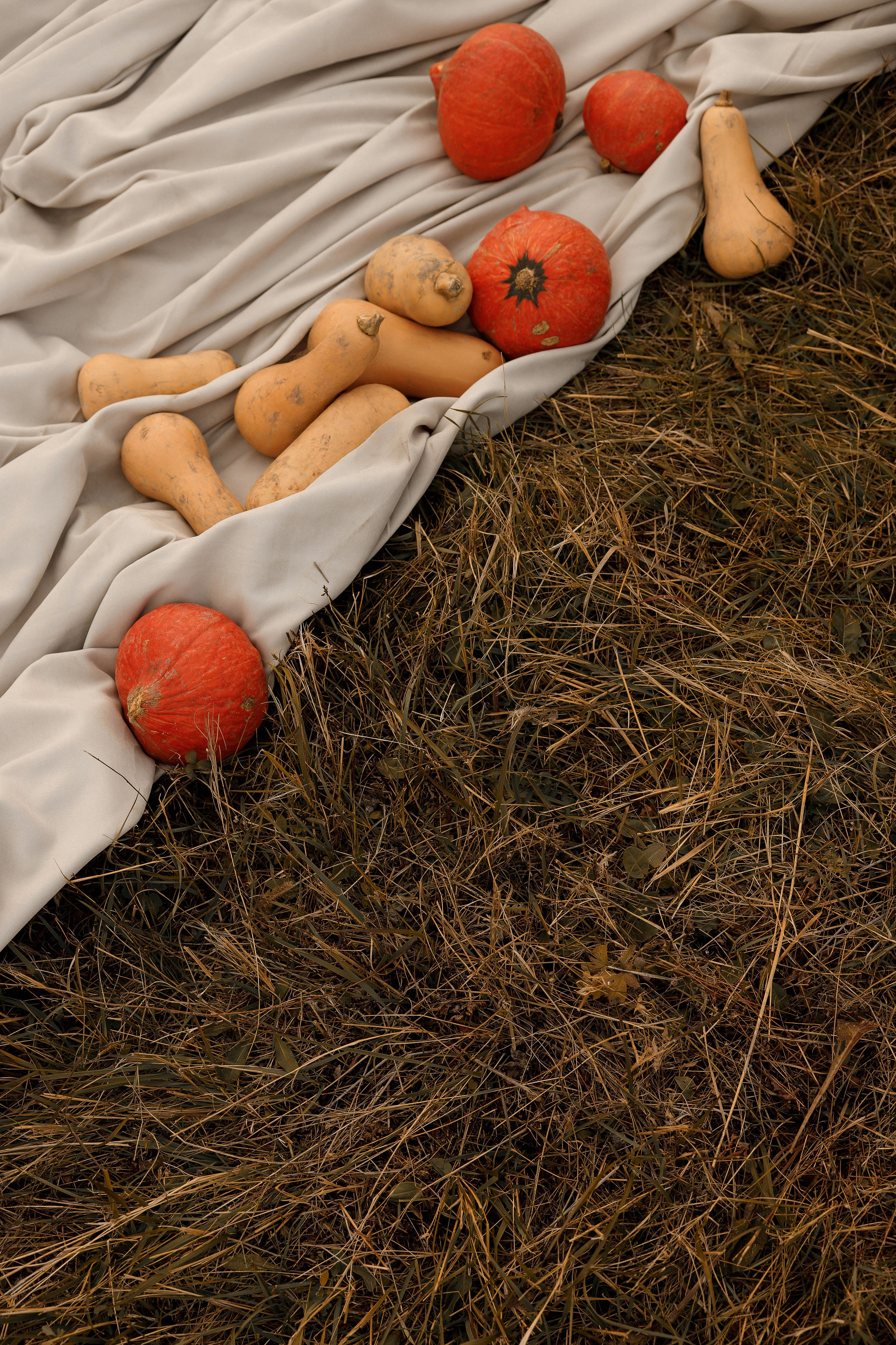 Ясная Поляна. Свадебный и семейный фотограф  во Владивостоке Ольга Украинец