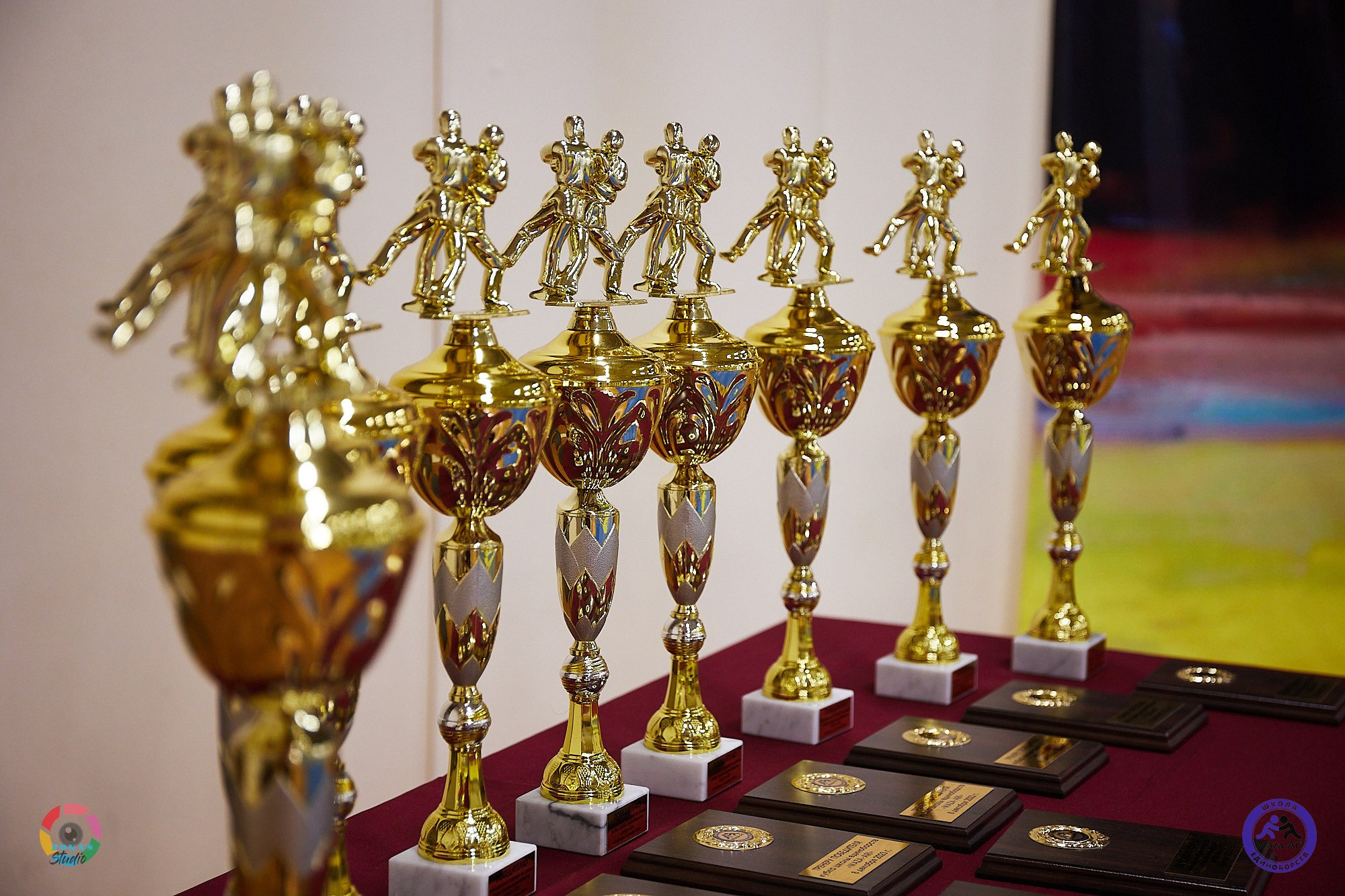 Репортаж Турнир по дзюдо. Спортивный фотограф Некрасов Денис