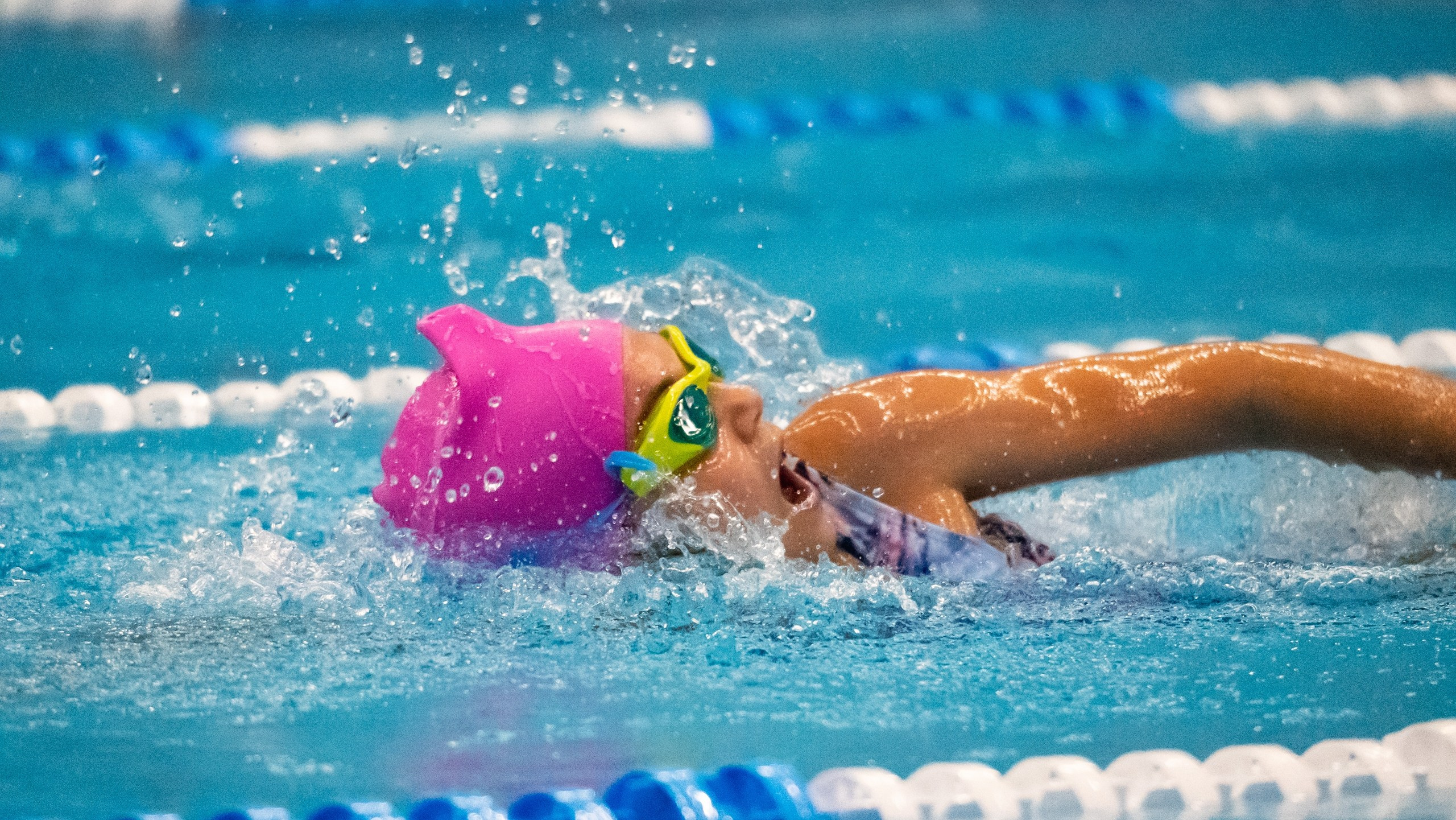 Соревнования по плаванию «Осенний спринт» 2025, МССУОР № 1. Фотограф и видеооператор Екатерина Гнатюк