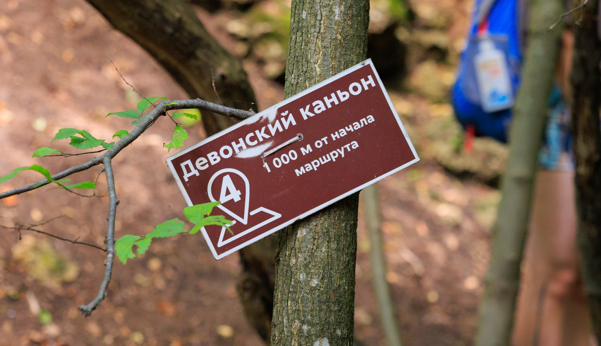 «Горная страна в миниатюре» — экологическая тропа в Аргамач-Пальна. Профессиональный фотограф в Воронеже | Липецке | Тамбове — Алексей Зайцев