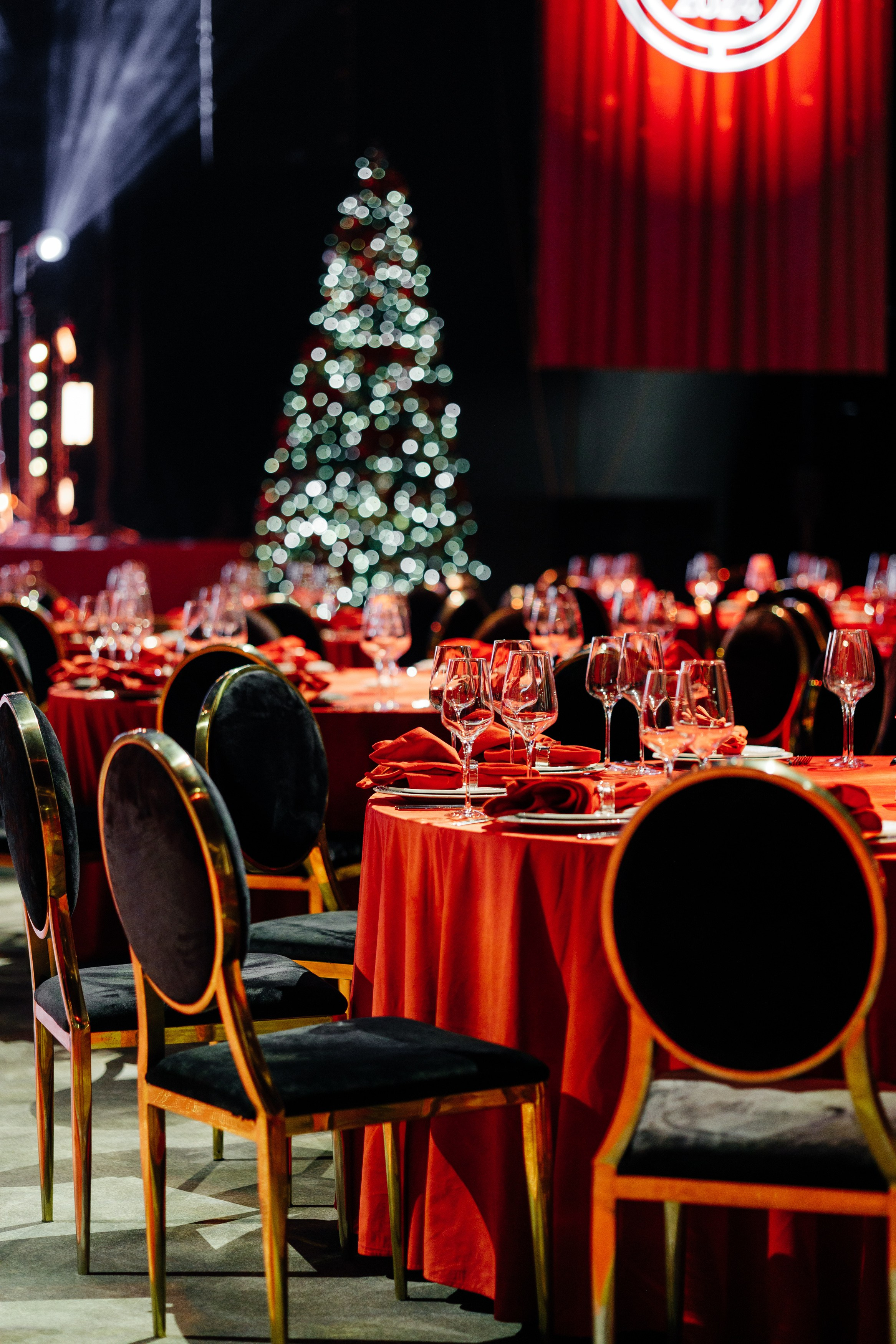 WHITEWILL 2024. Фотограф в Москве Алексей Виноградов