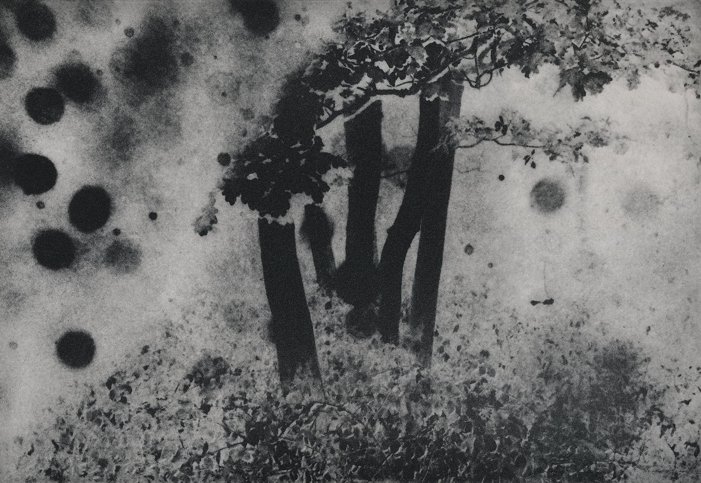 Проект «Black Cloud» Джули ван дер Ваарт. Private image