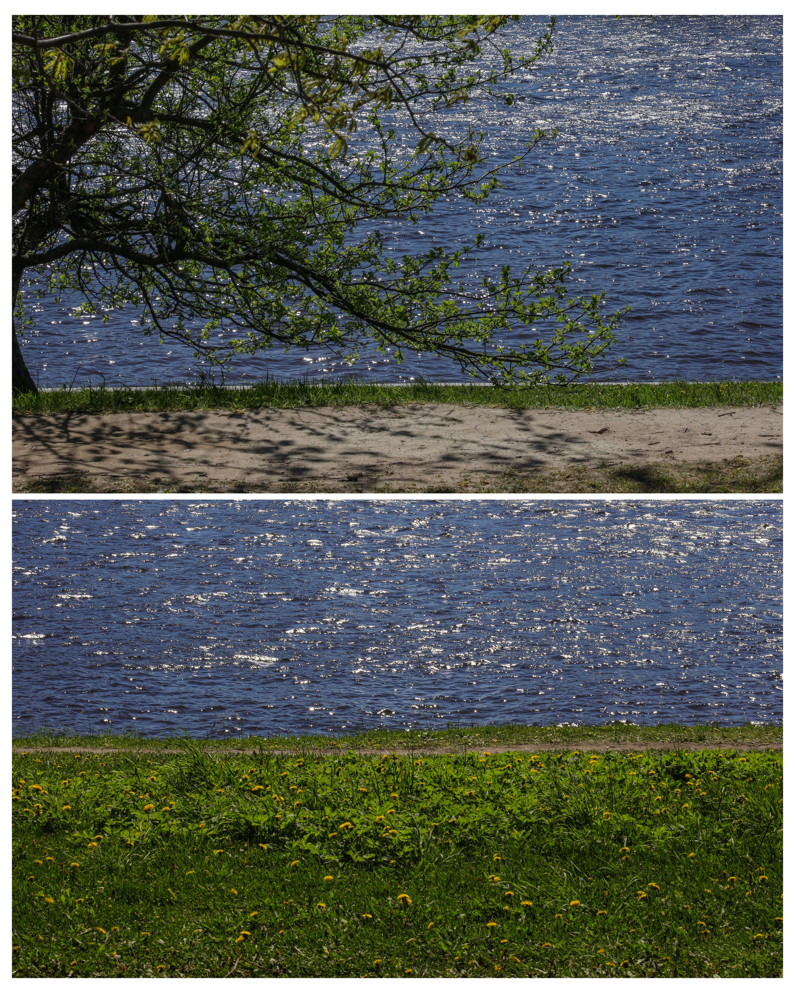 Природа &. Фотохудожник в СПб