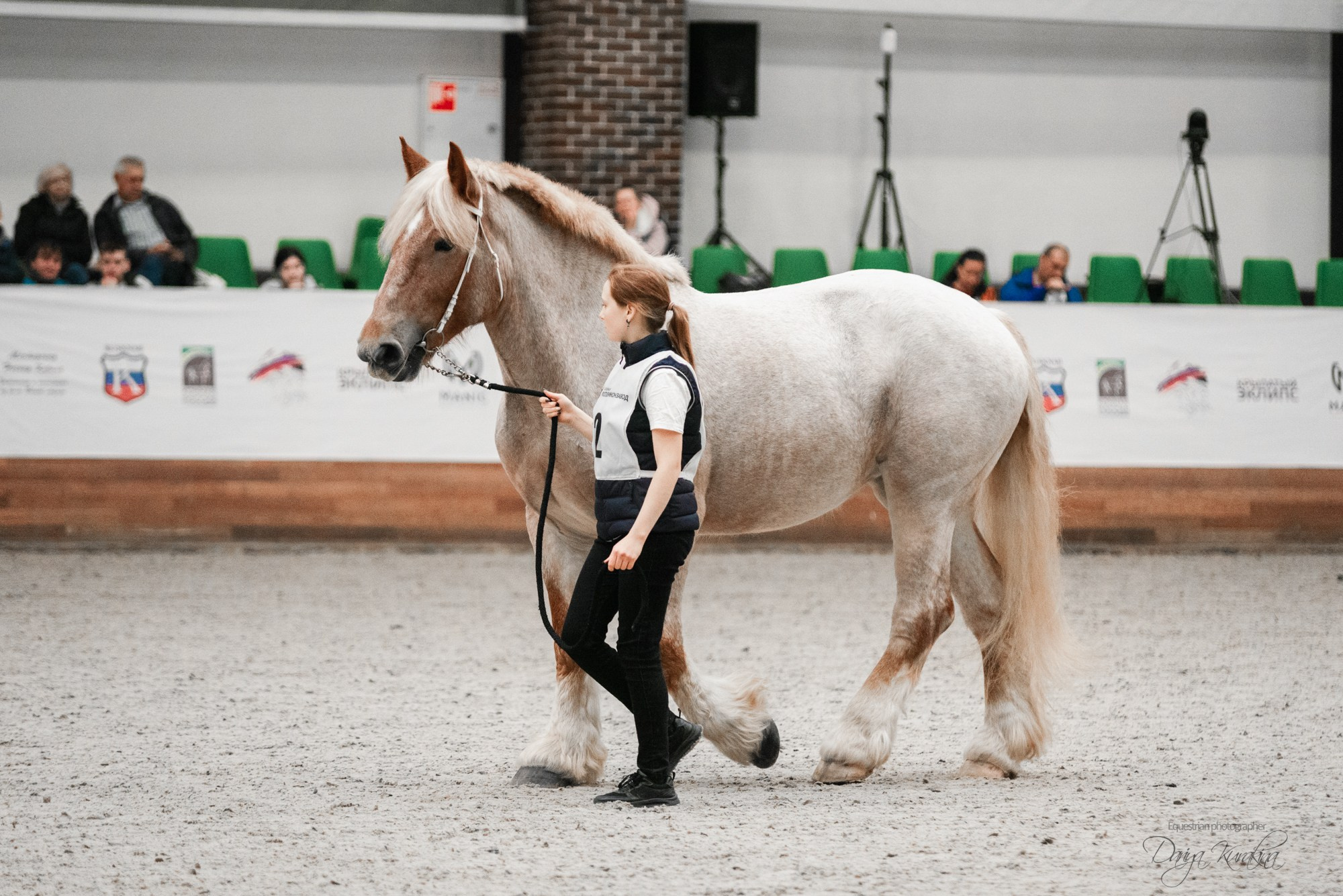 8-я международная выставка Конная Россия. Конный фотограф Куракина Дарья • Фотосессии с лошадьми