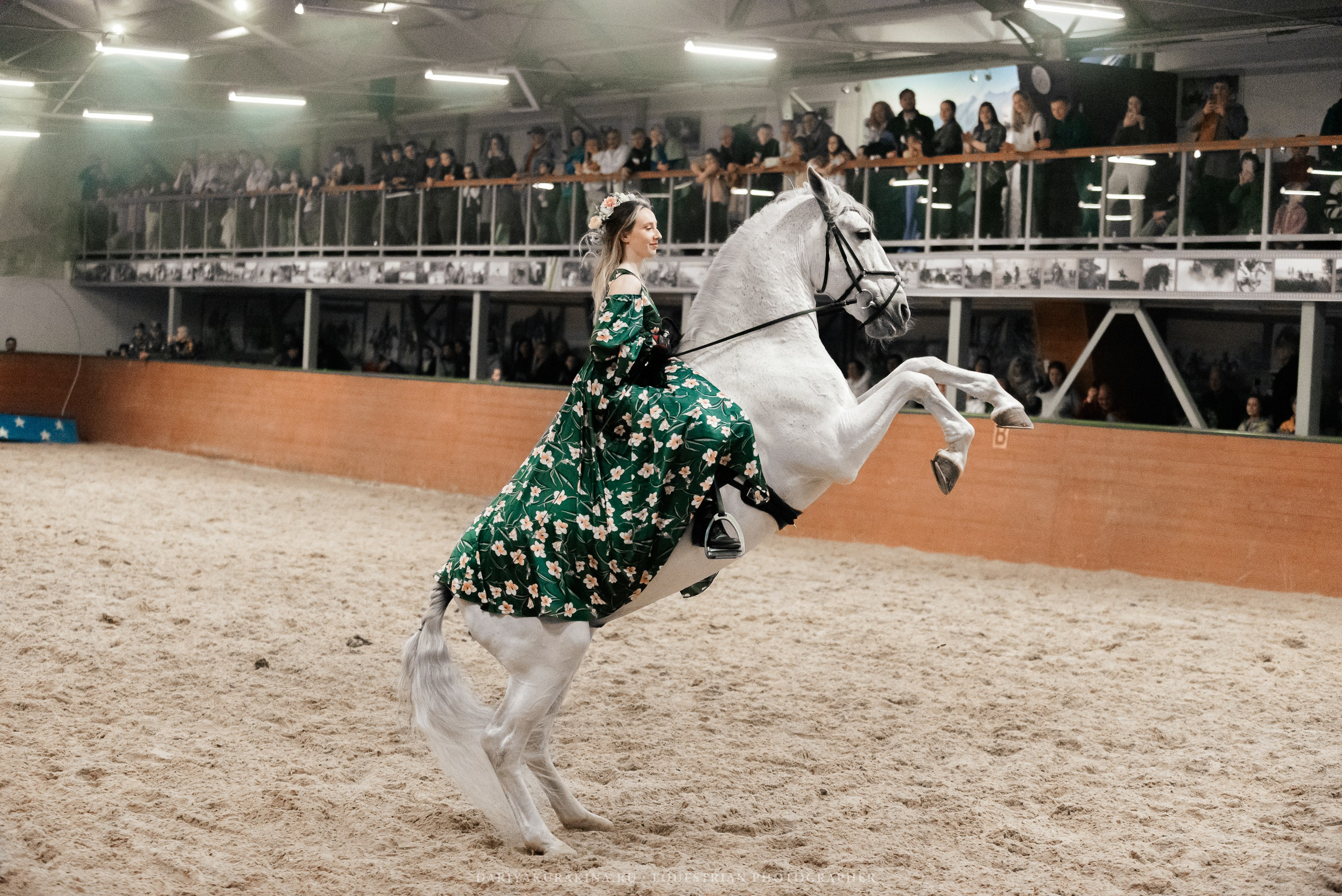 Конное представление «Дыхание Звёзд». Конный фотограф Куракина Дарья • Фотосессии с лошадьми