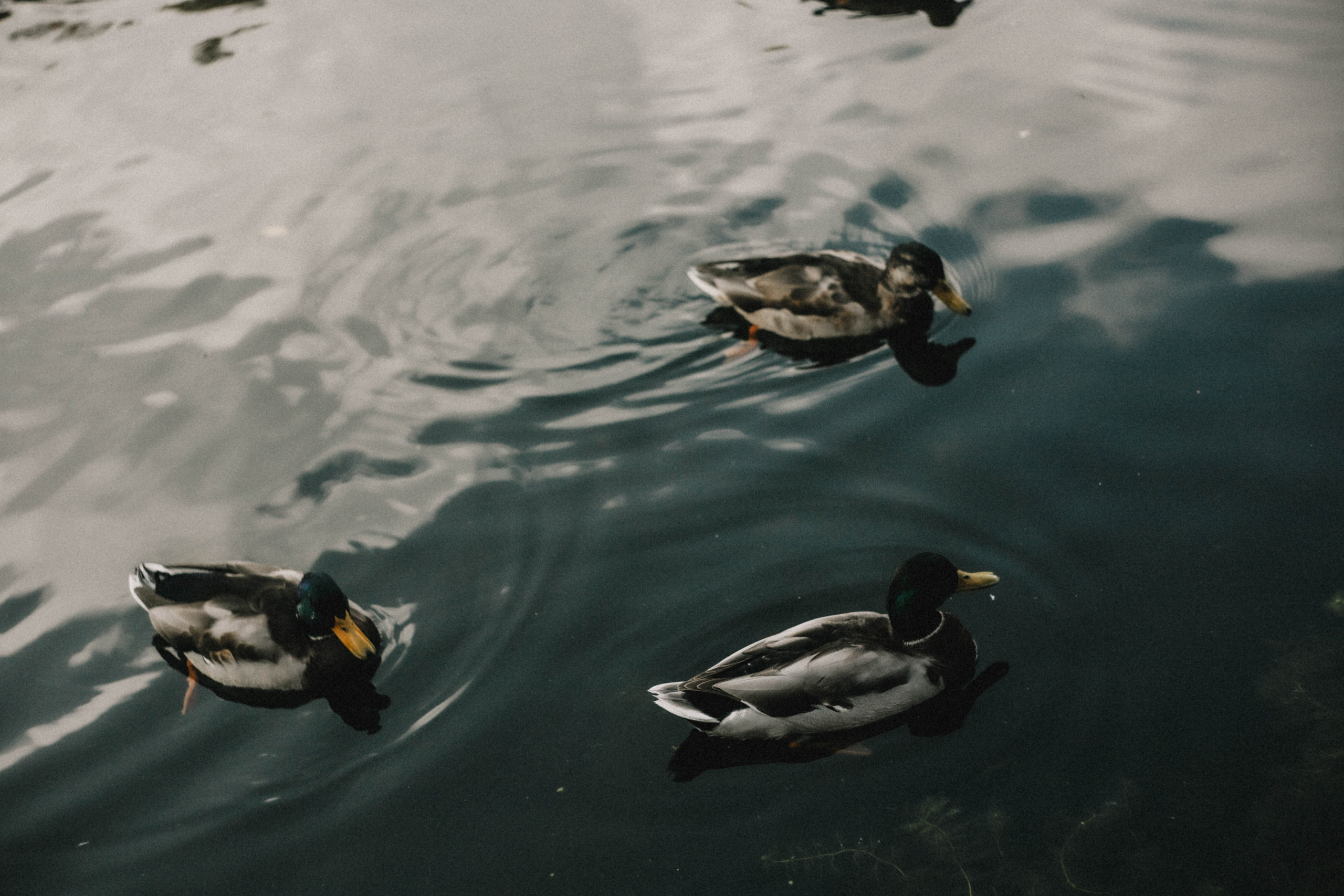 Анна на Щелчке. Осень. Фотограф в Нижнем Новгороде