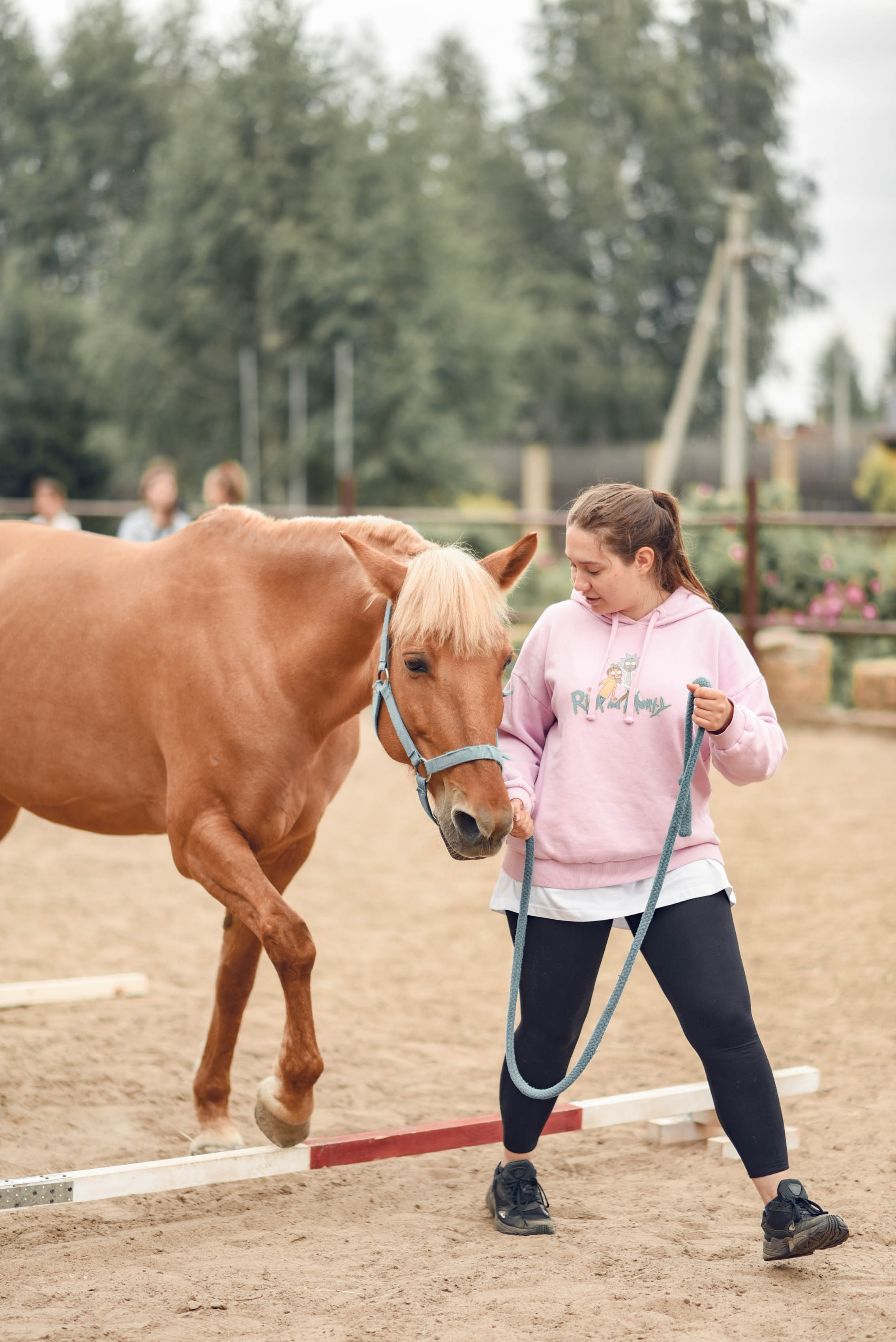 Иппотренинг. Портретный фотограф в Казани Татьяна Домарад