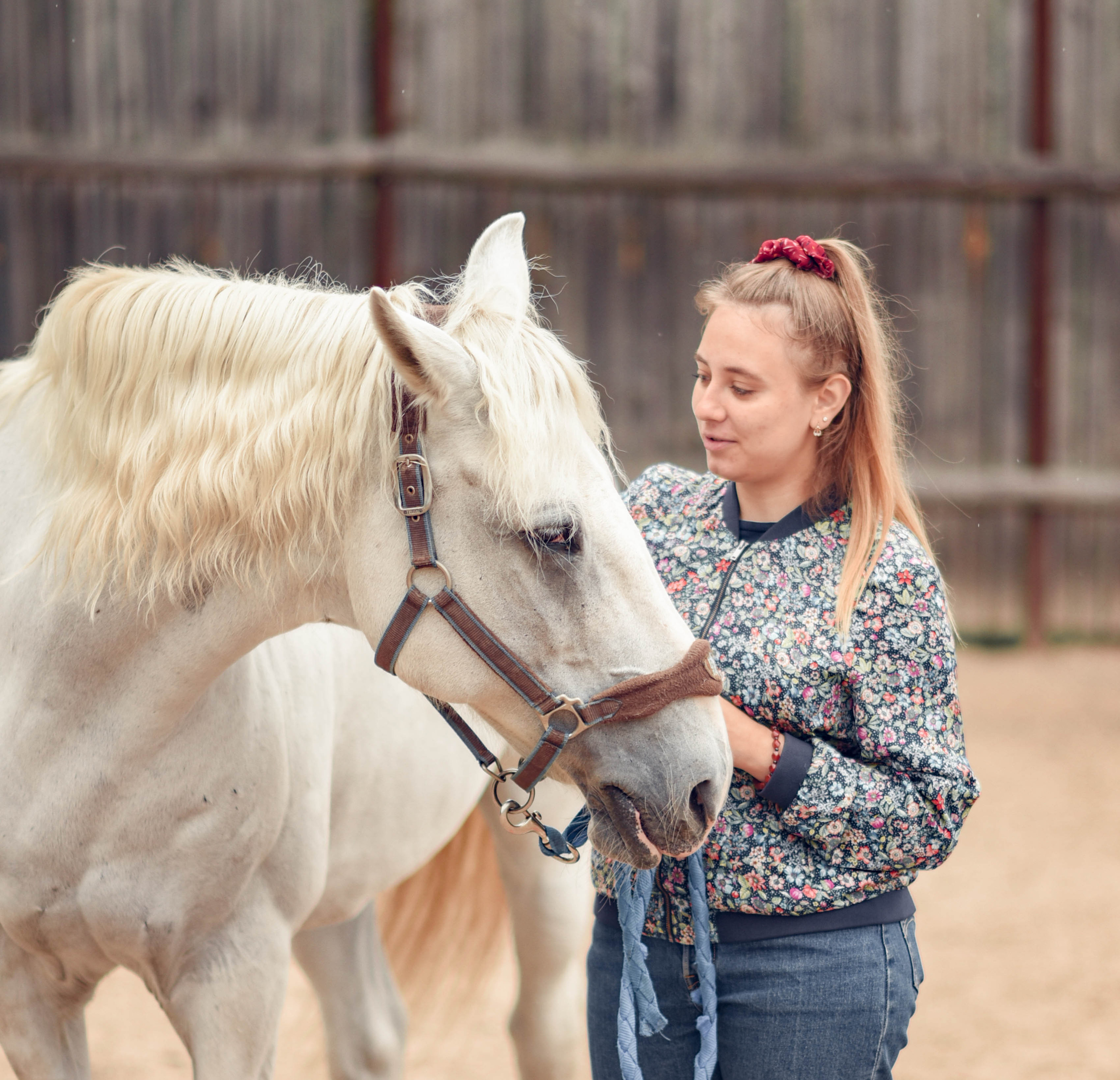 Иппотренинг. Портретный фотограф в Казани Татьяна Домарад