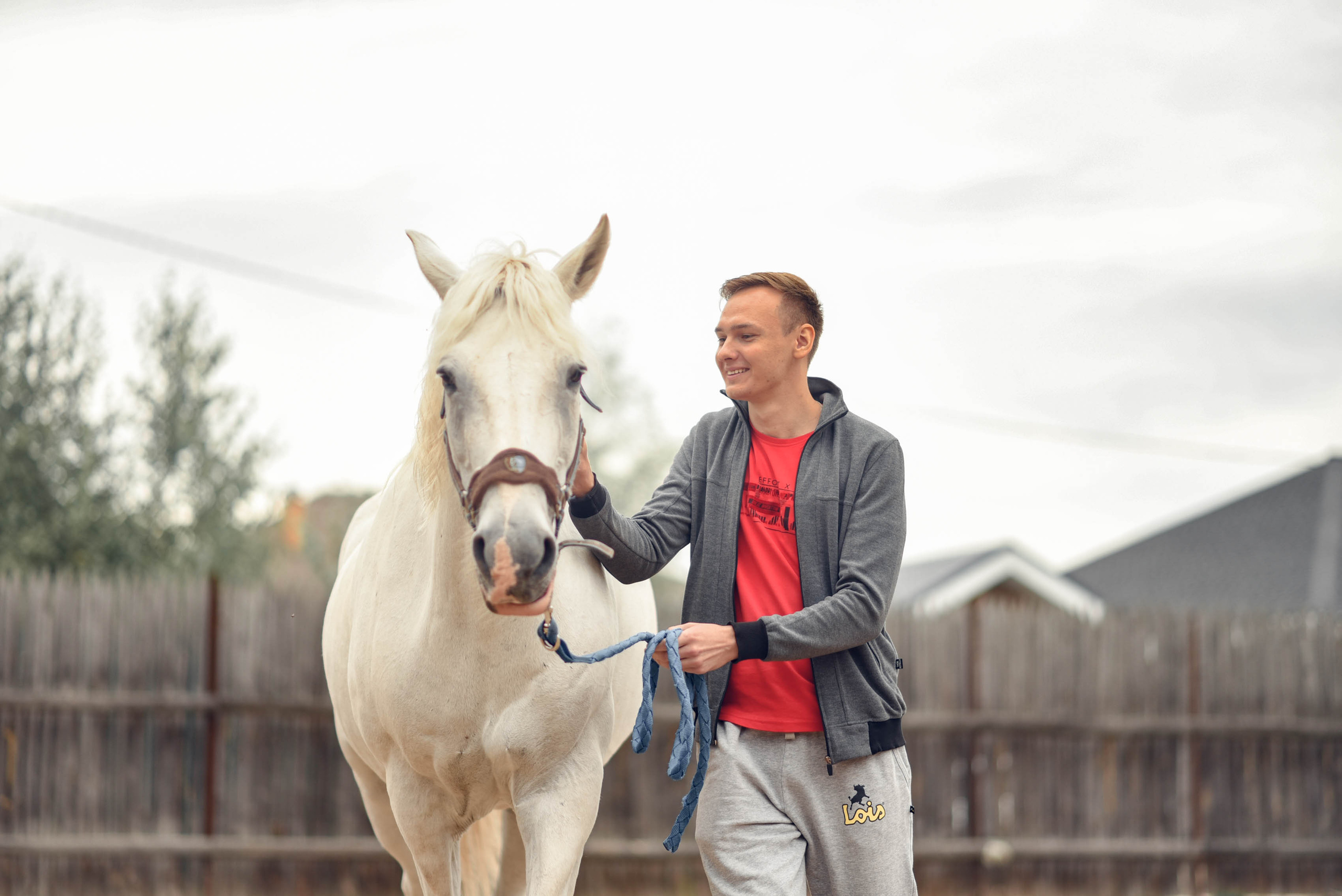 Иппотренинг. Портретный фотограф в Казани Татьяна Домарад