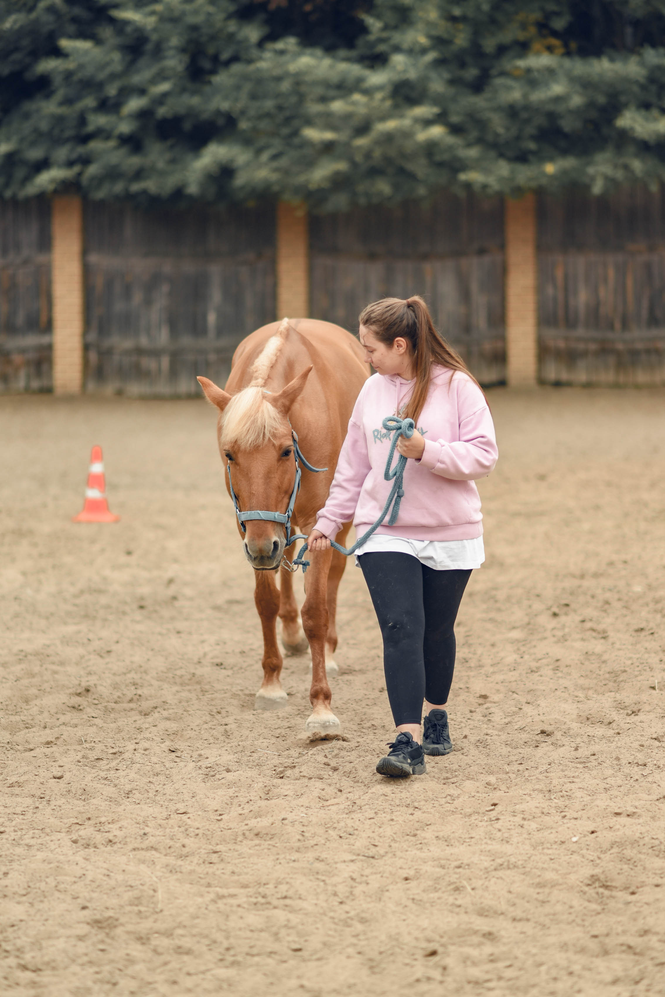 Иппотренинг. Портретный фотограф в Казани Татьяна Домарад