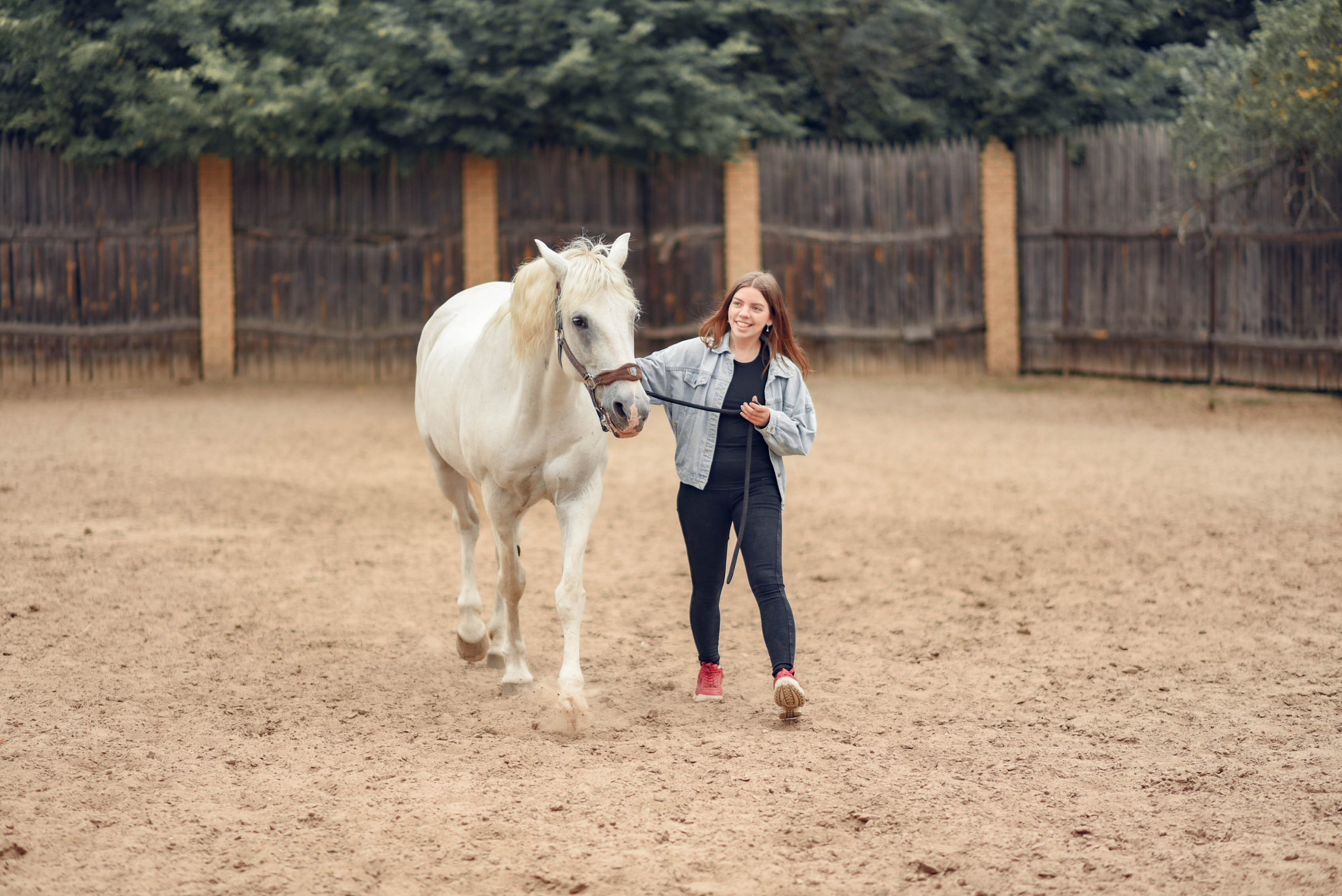 Иппотренинг. Портретный фотограф в Казани Татьяна Домарад