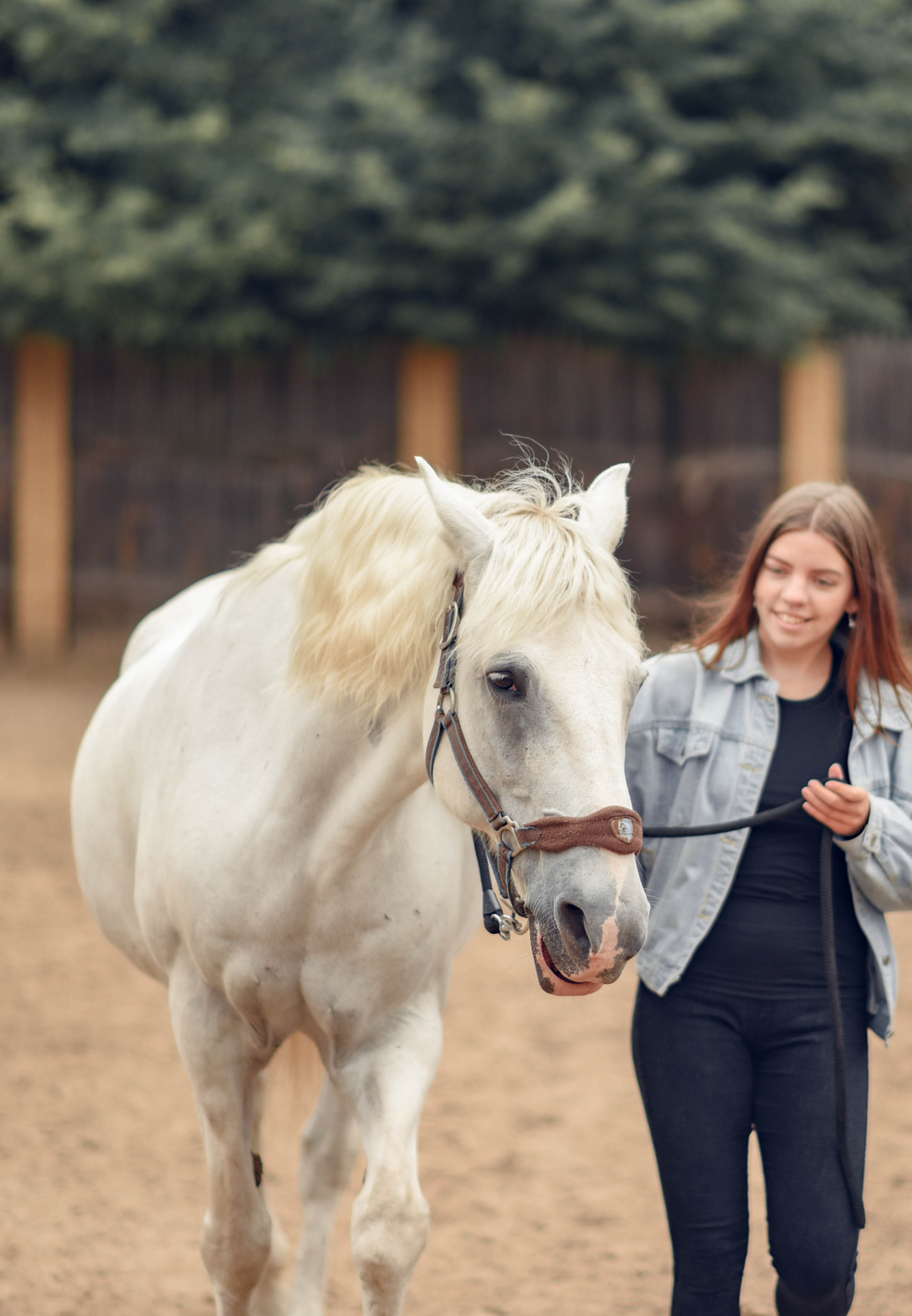 Иппотренинг. Портретный фотограф в Казани Татьяна Домарад