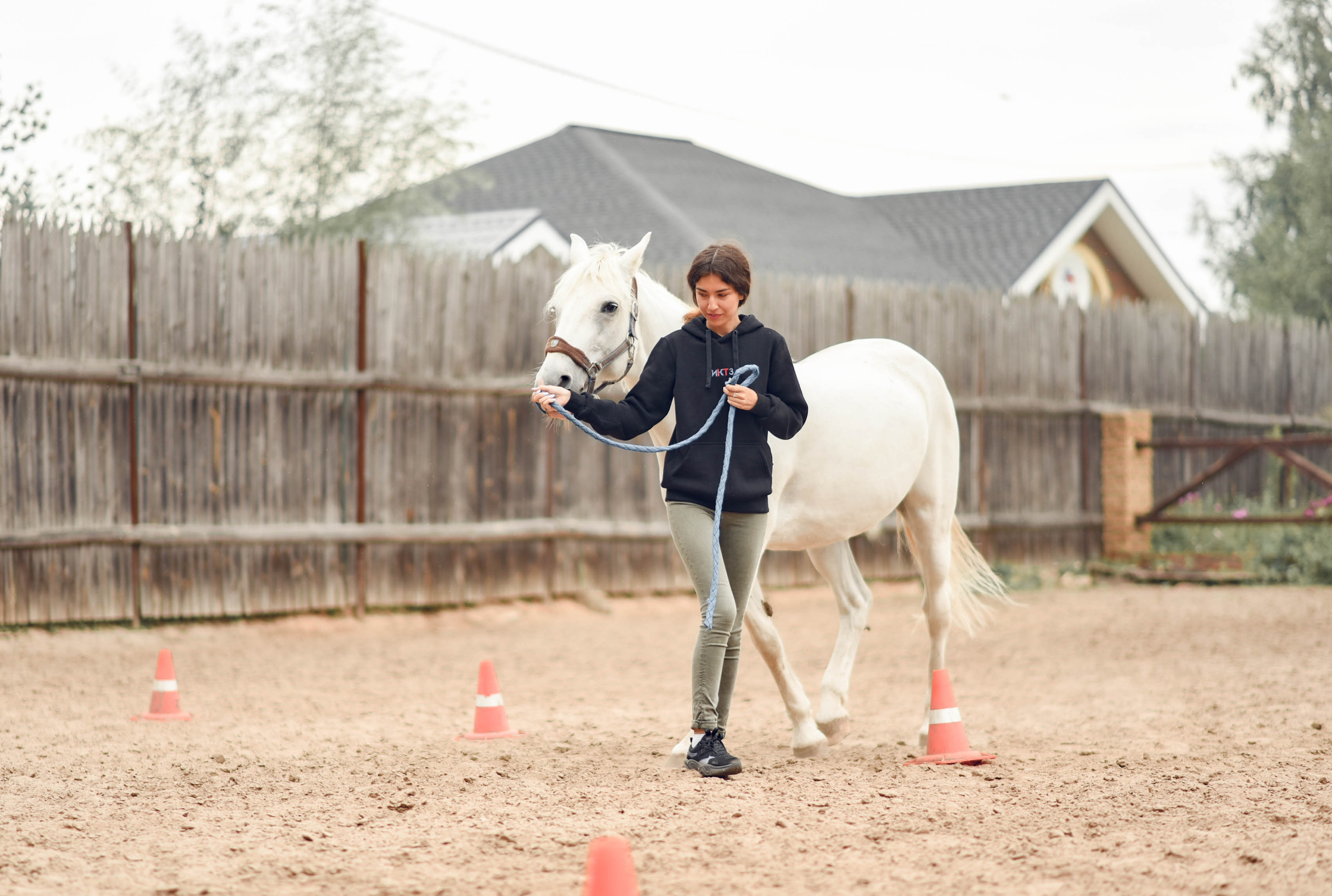 Иппотренинг. Портретный фотограф в Казани Татьяна Домарад