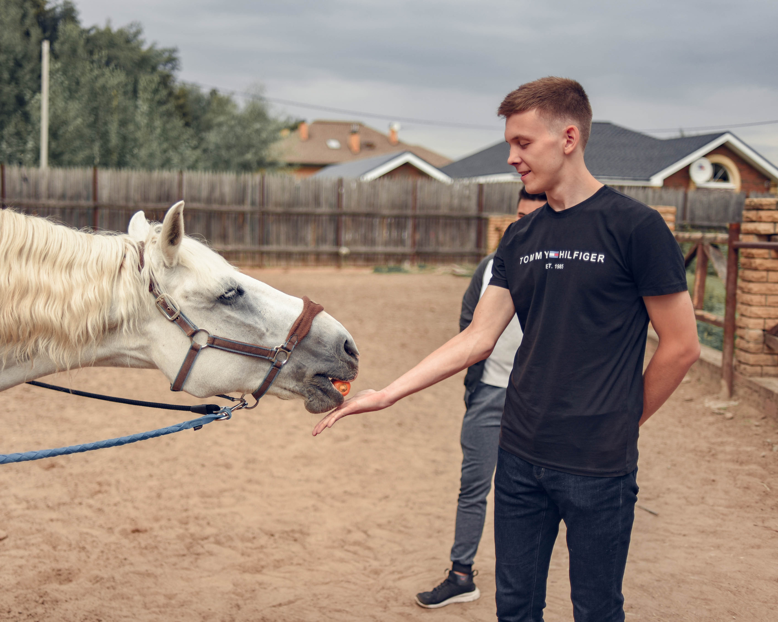 Иппотренинг. Портретный фотограф в Казани Татьяна Домарад