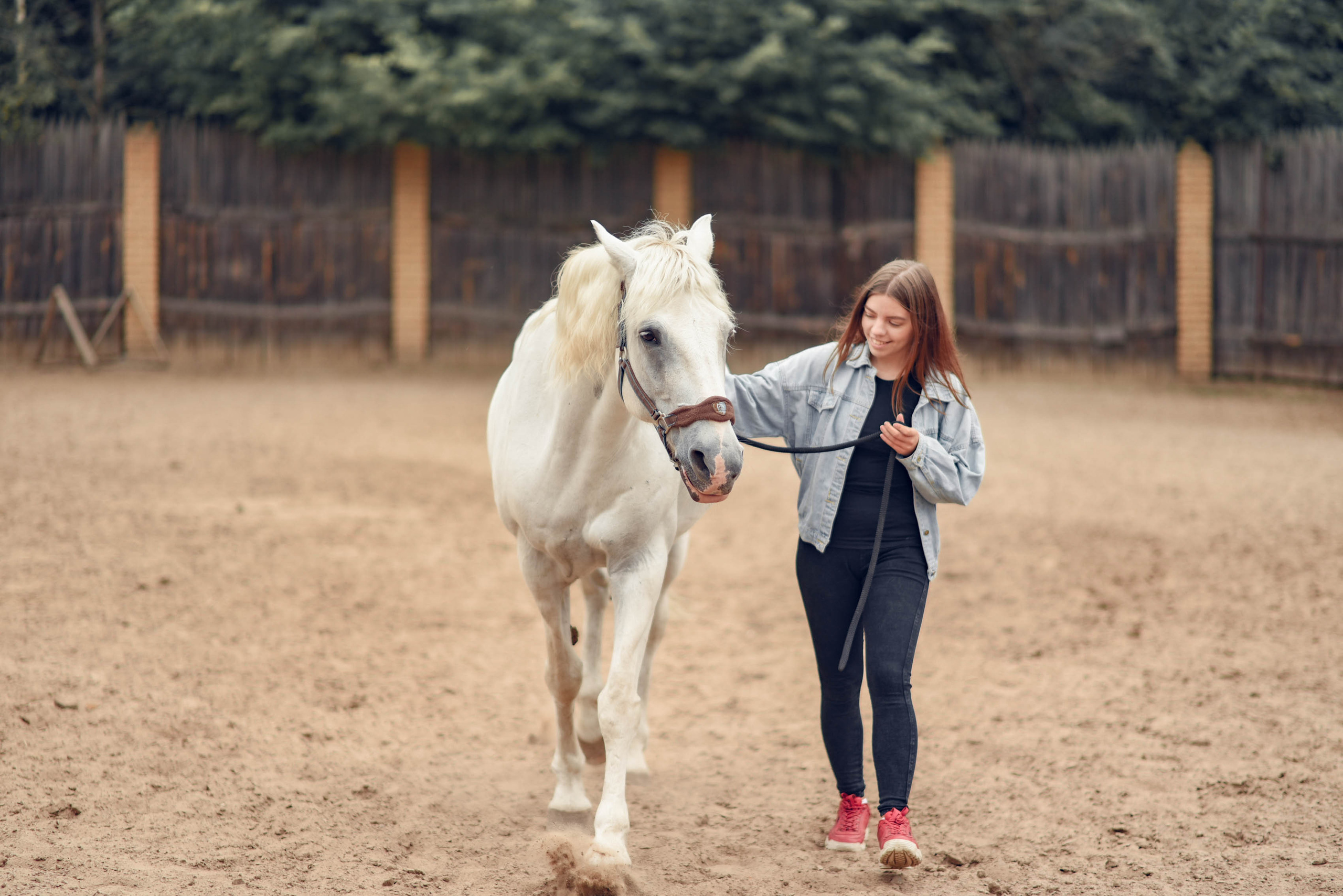 Иппотренинг. Портретный фотограф в Казани Татьяна Домарад