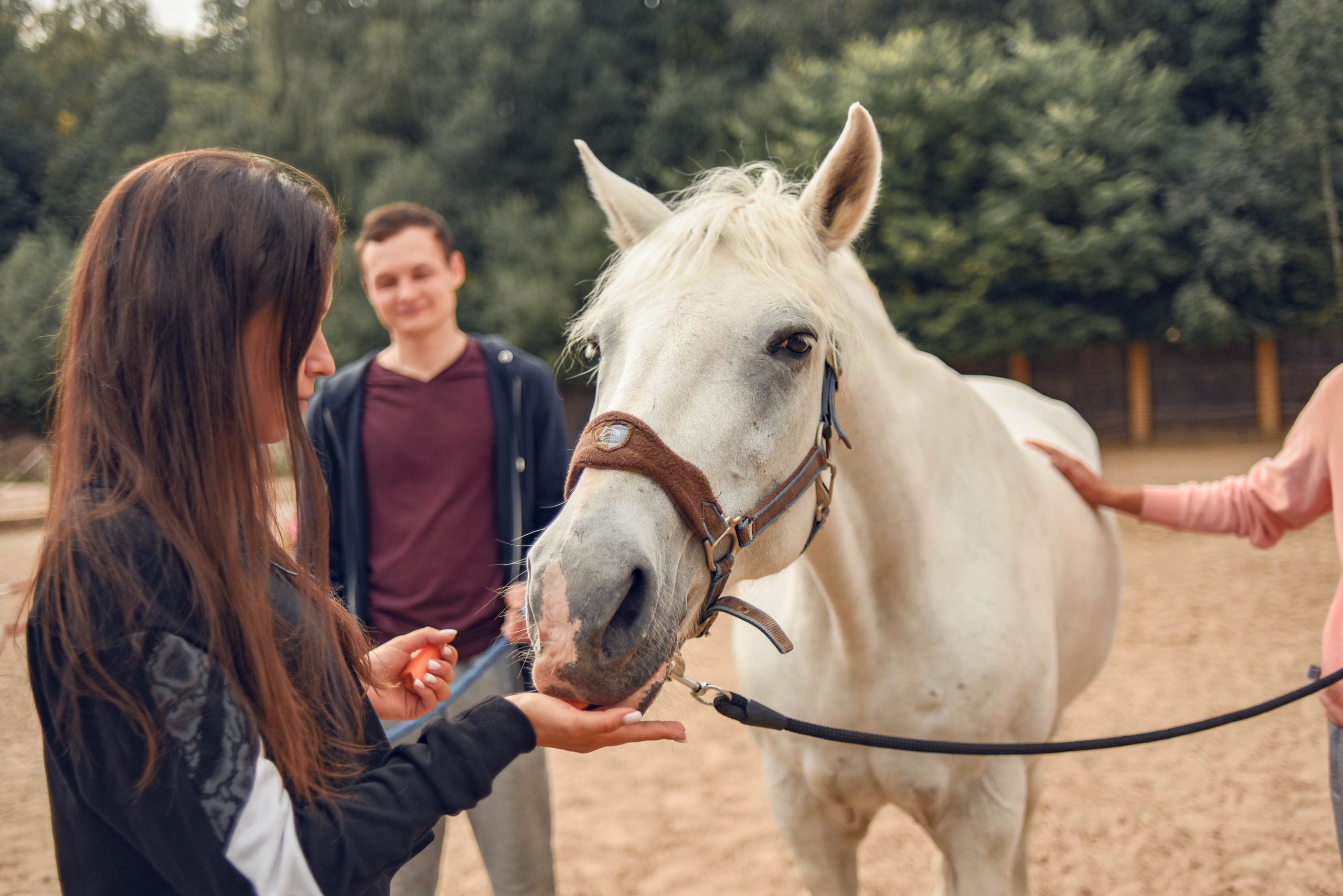 Иппотренинг. Портретный фотограф в Казани Татьяна Домарад
