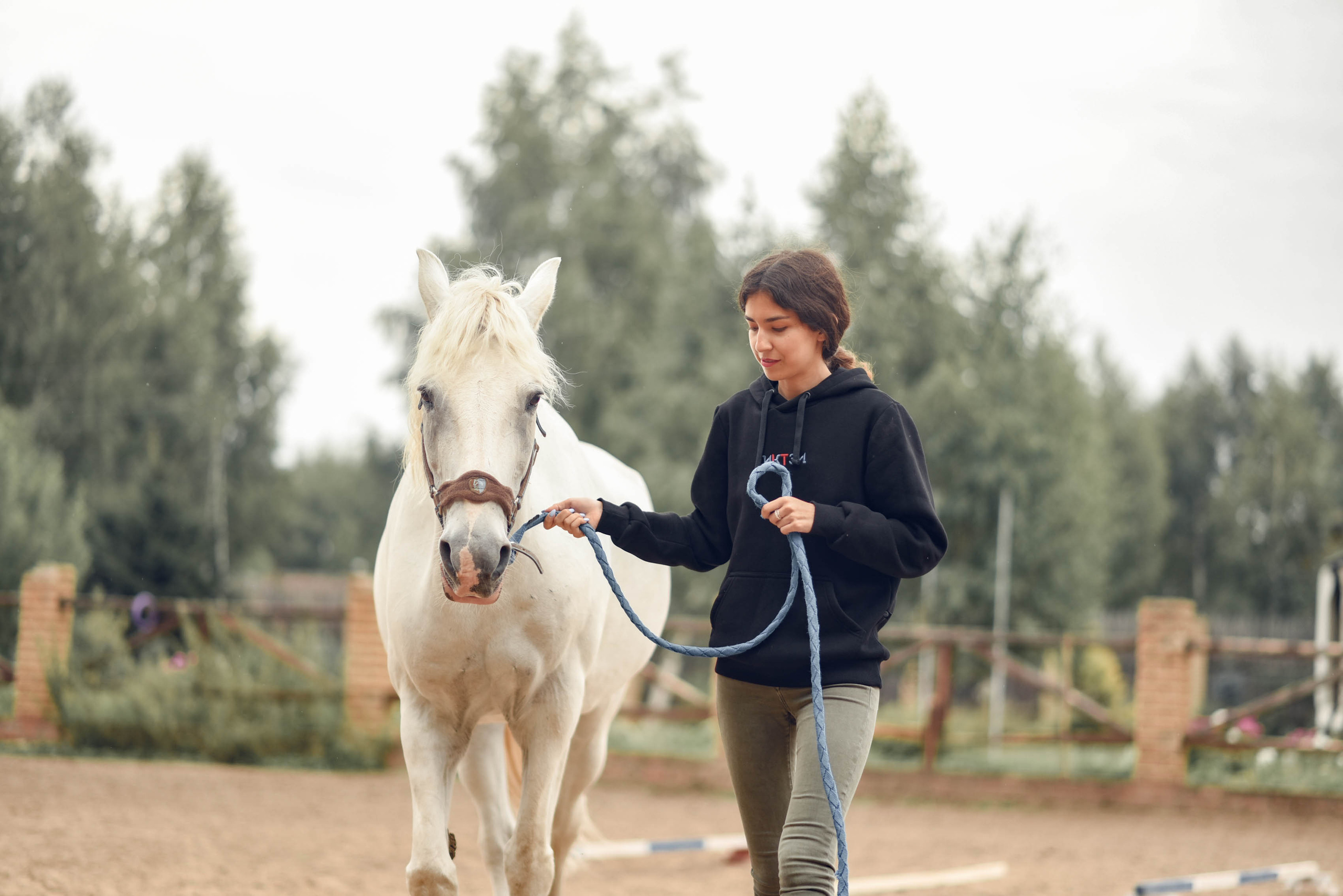 Иппотренинг. Портретный фотограф в Казани Татьяна Домарад