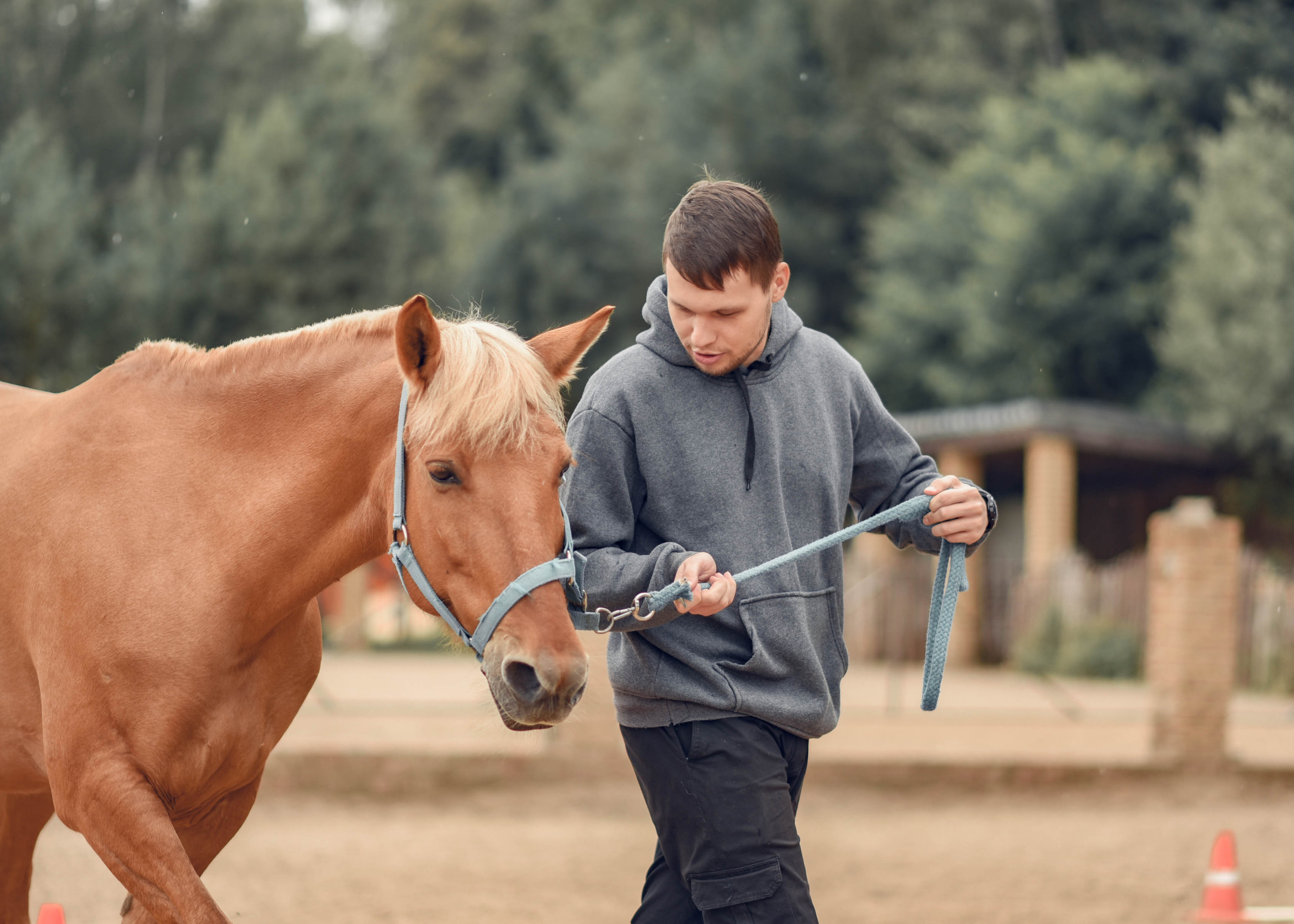 Иппотренинг. Портретный фотограф в Казани Татьяна Домарад