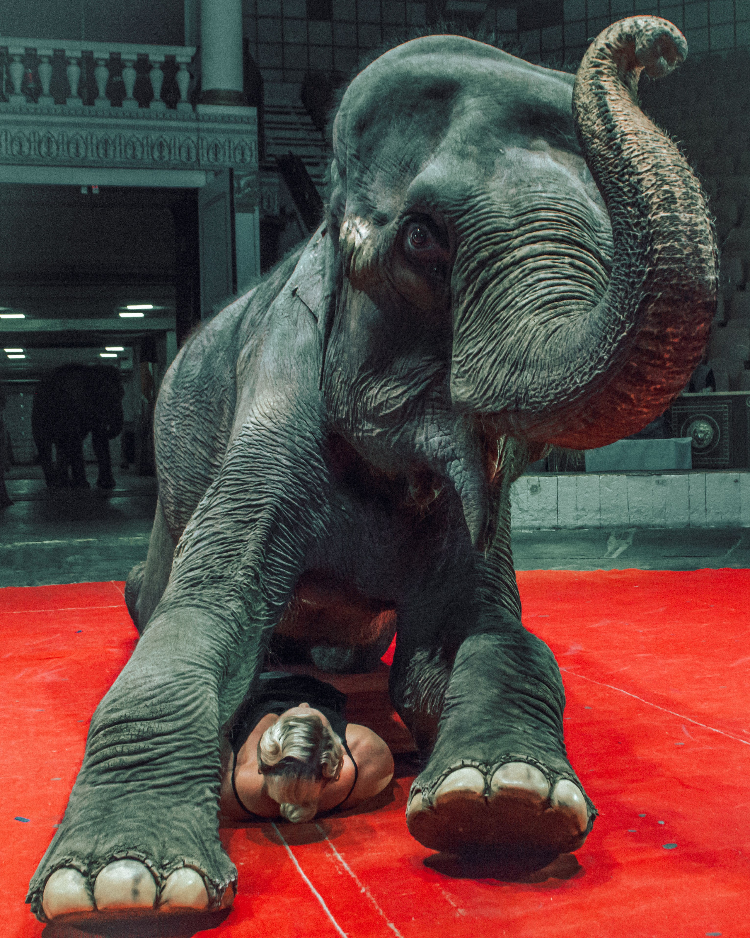 Екатерина. Главная