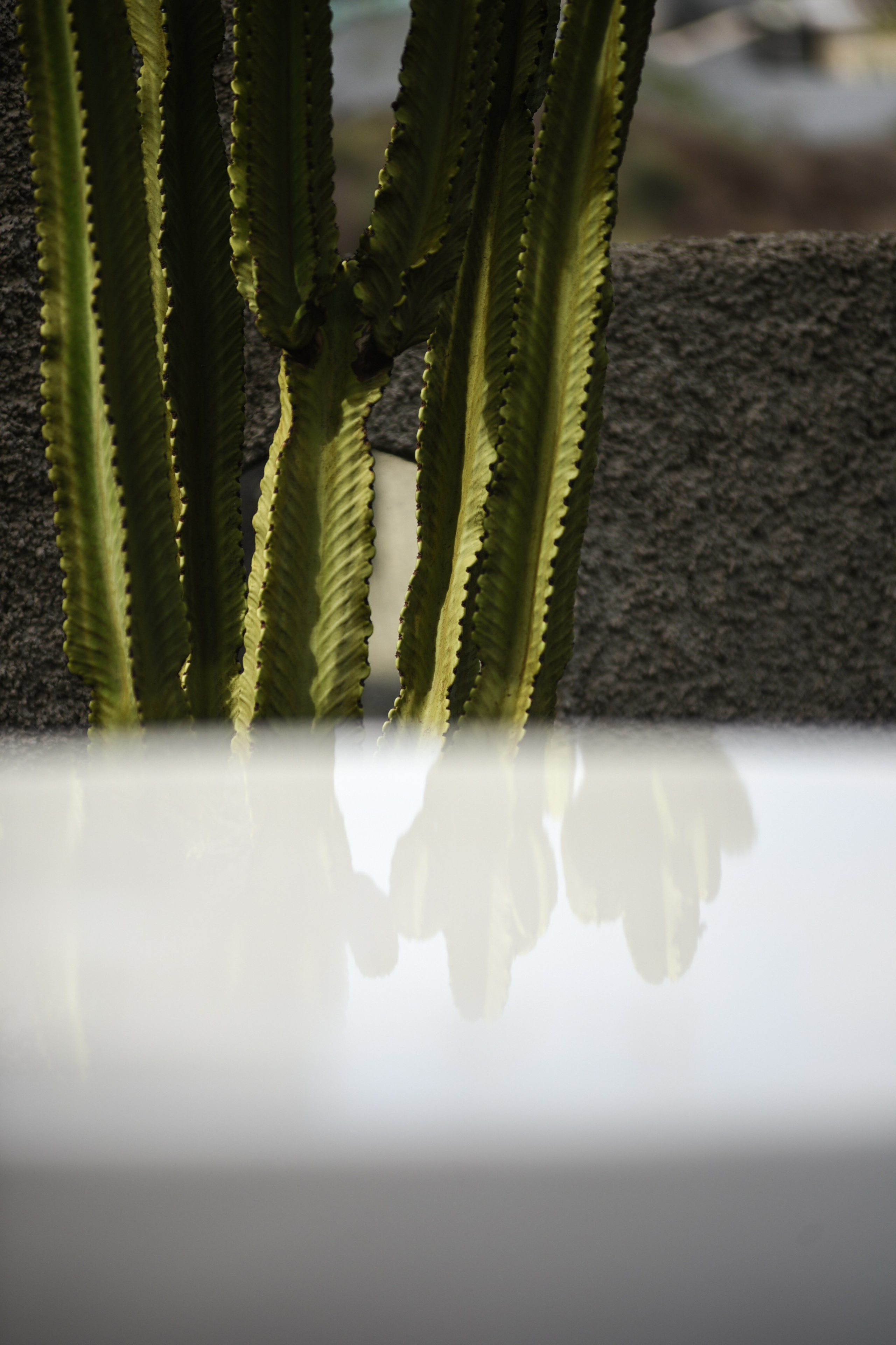 Urban. Anastasia Serdyuk, travel photographer, travel photo, portraits, stories, fineart prints