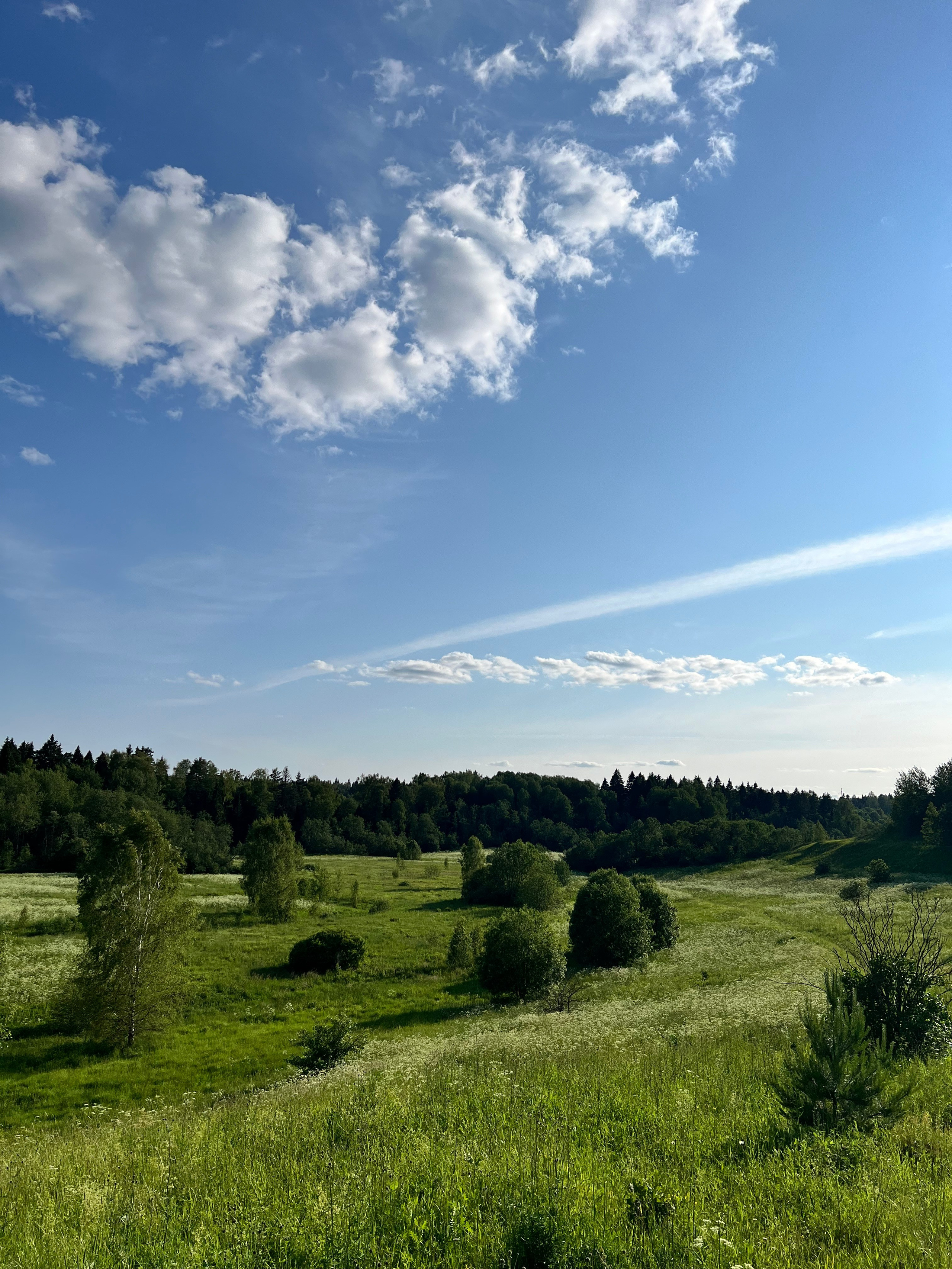 Радонежье. Путешествия со смыслом