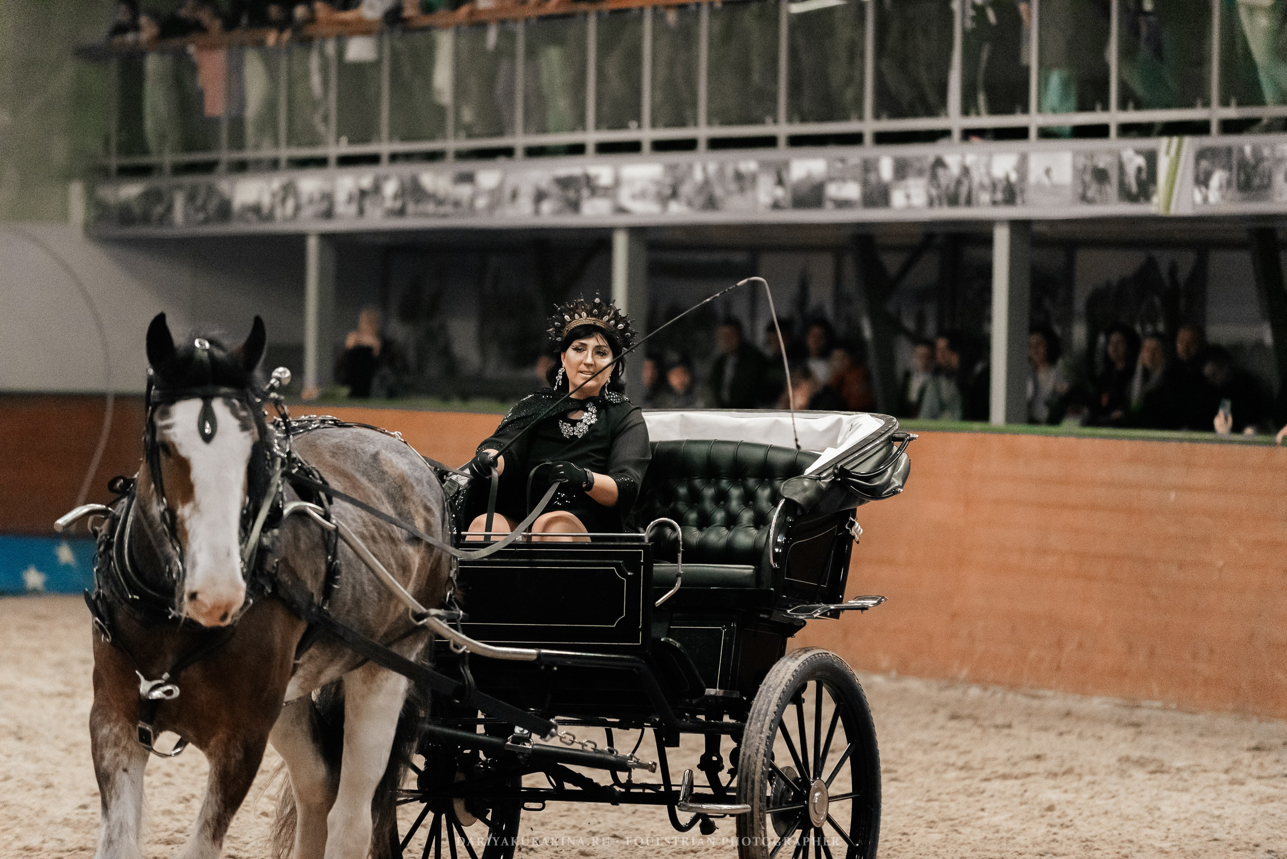 Конное представление «Дыхание Звёзд». Конный фотограф Куракина Дарья • Фотосессии с лошадьми