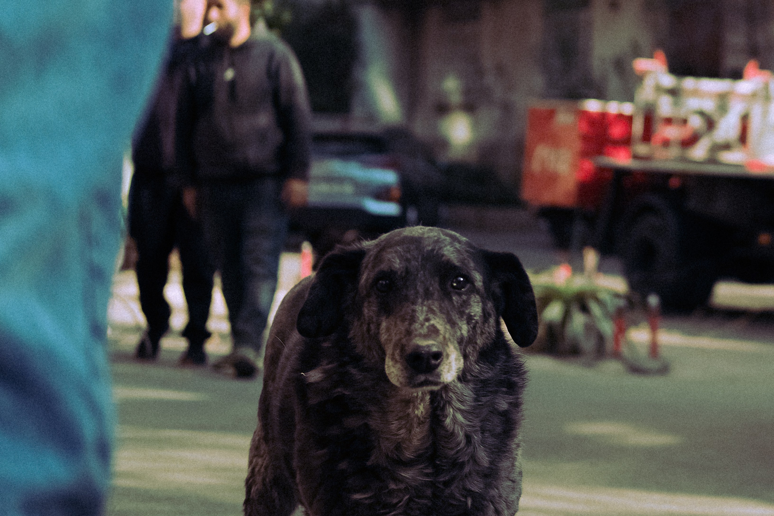 Городская и домашняя съемка в Тбилиси/ Алина и Гриша/ Или фотоблог из спального района. Photographer Tbilisi