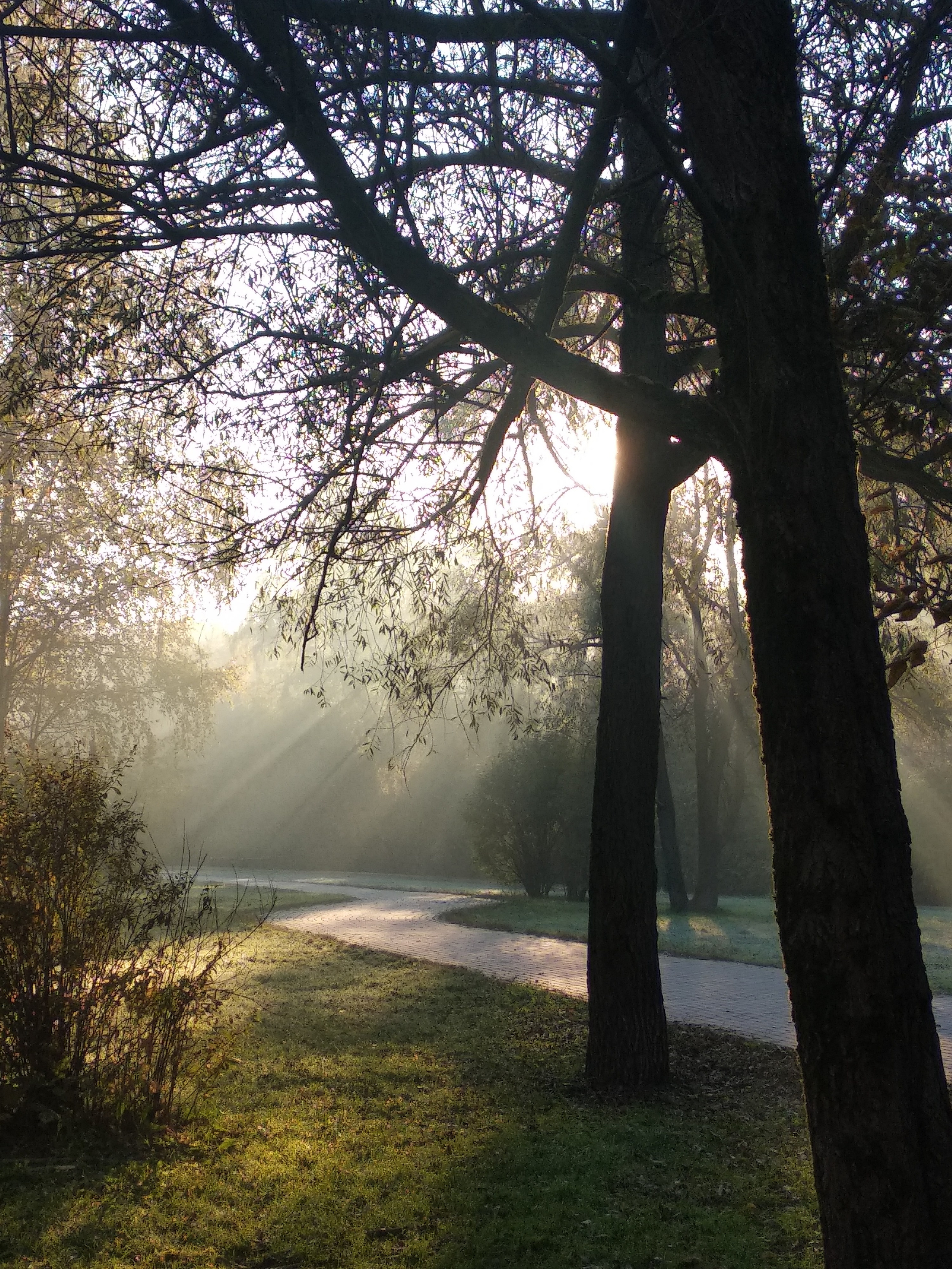 Чудесная природа. Школьные выпускные альбомы в Москве Марина Николаева