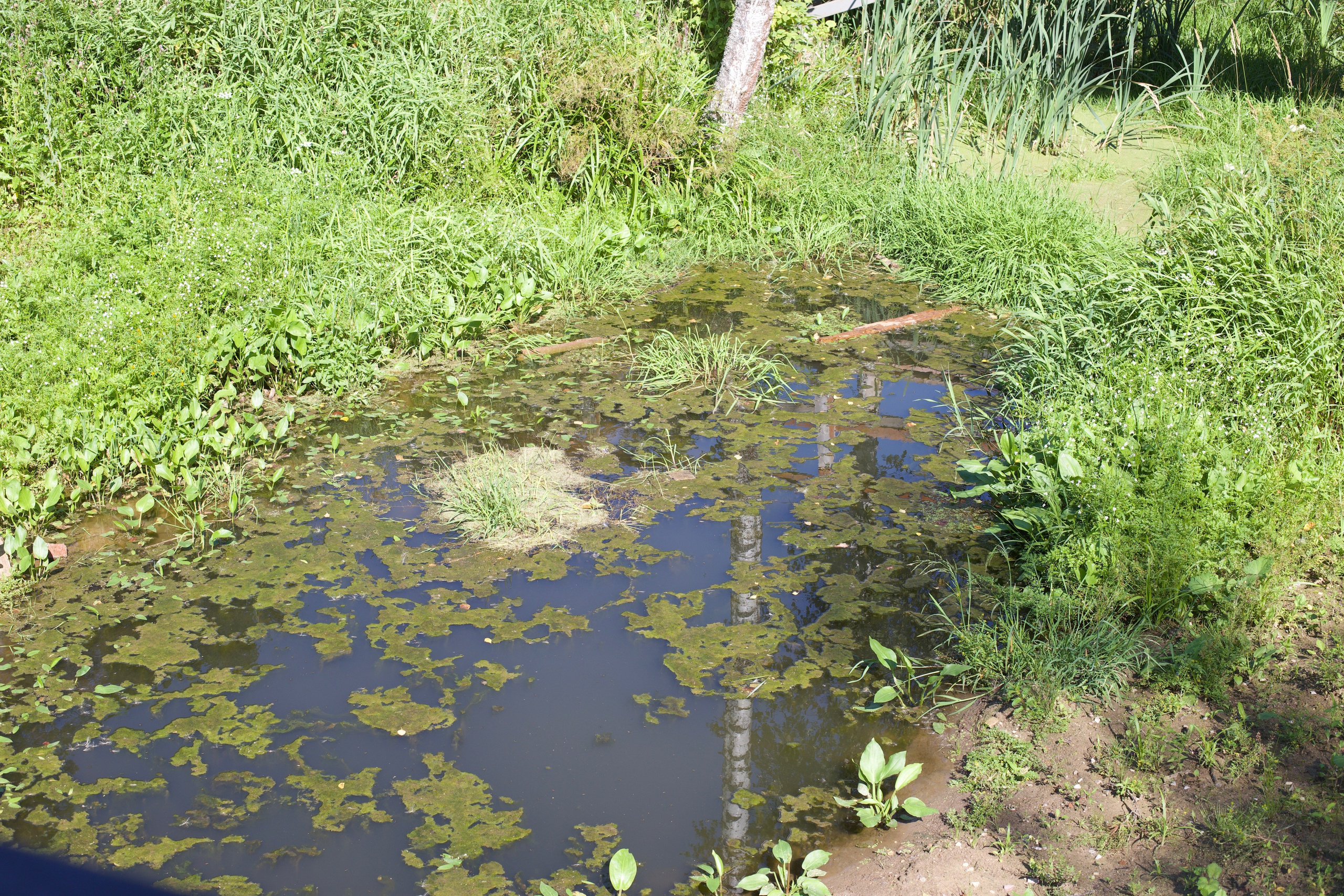 Ново-Иерусалимкий монастырь. Школьные выпускные альбомы в Москве Марина Николаева