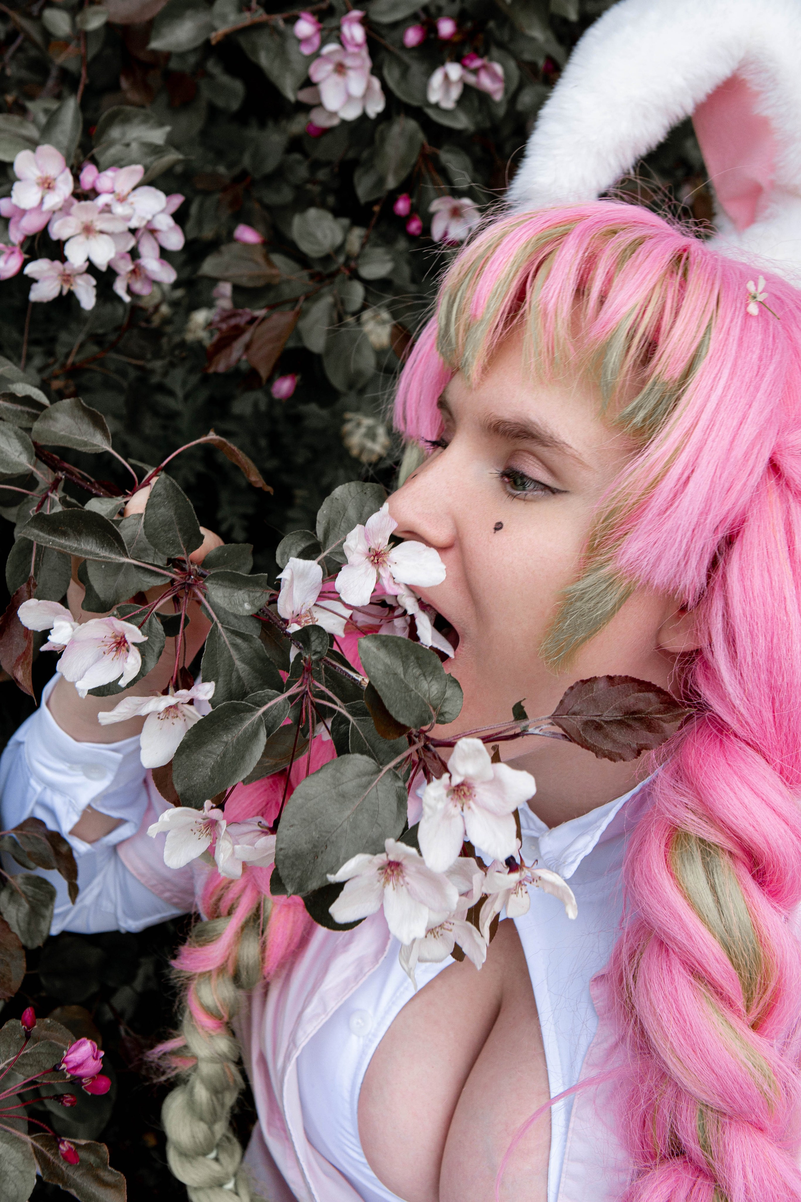 Майское цветение. Фотограф Екатерина Голицына