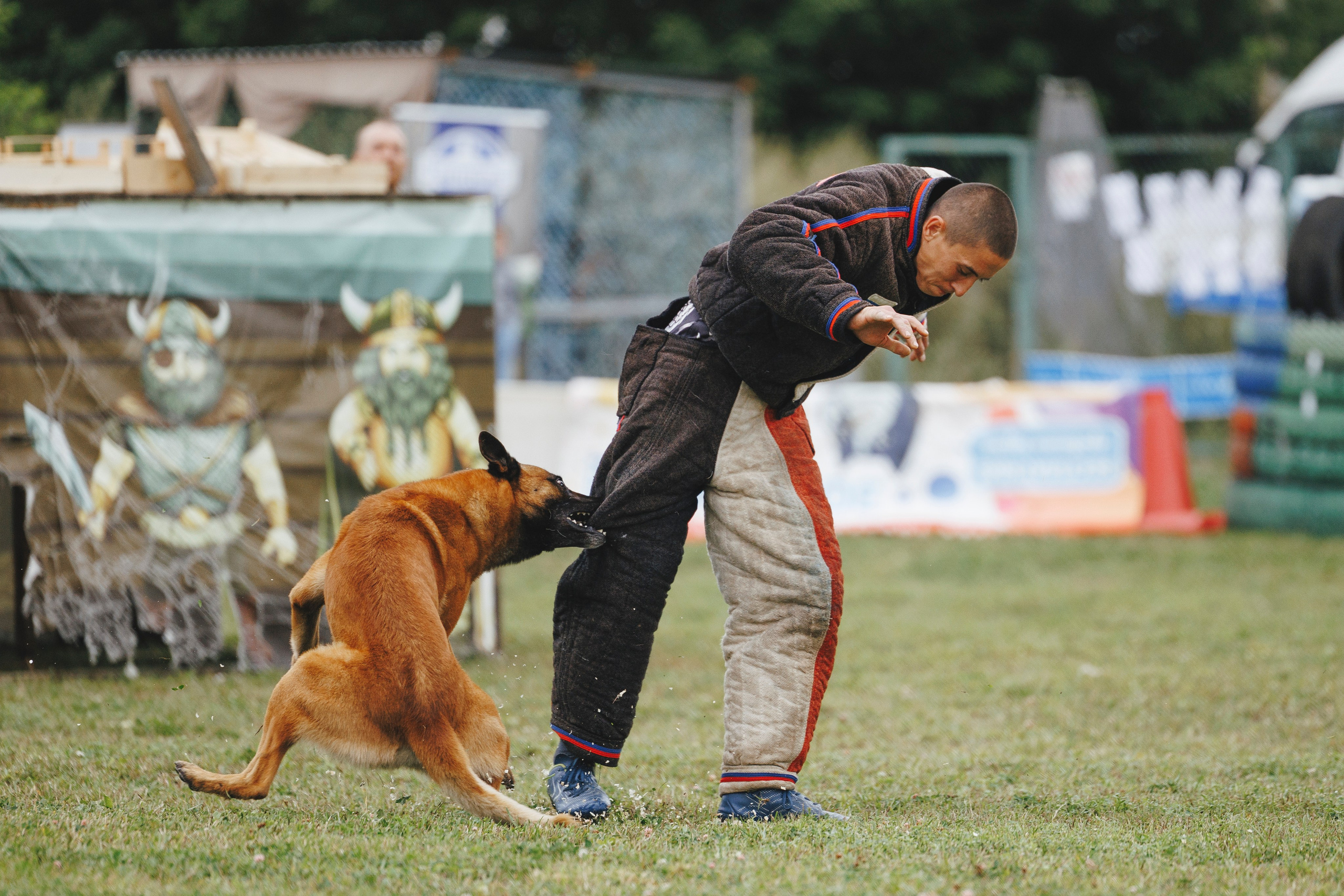 08.08.25-10.08.25 ЧР по мондьорингу г. Вологда. Фотограф-анималист Анна Маринич