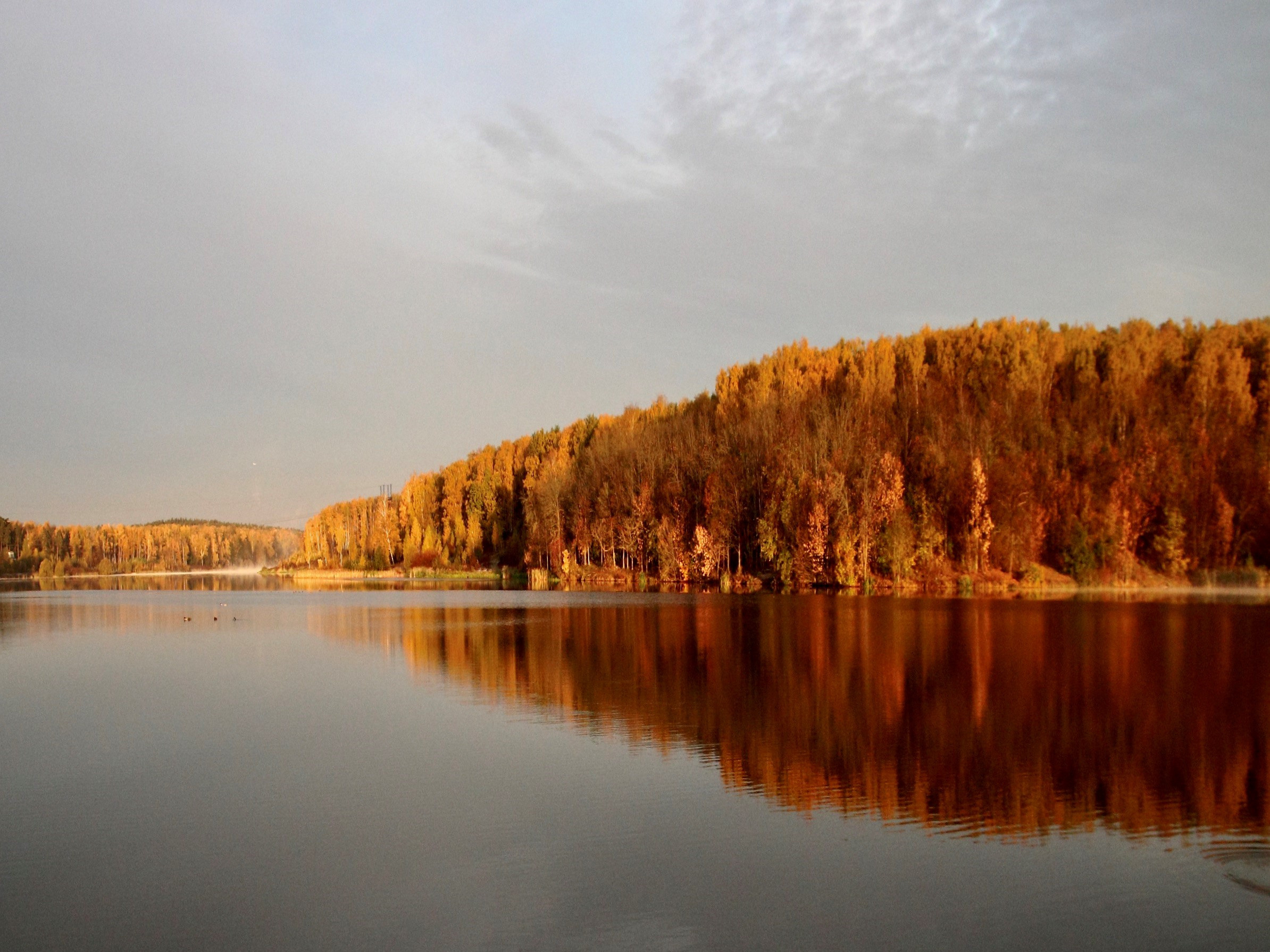 Вид на пруд в осенний день. Золотая осень