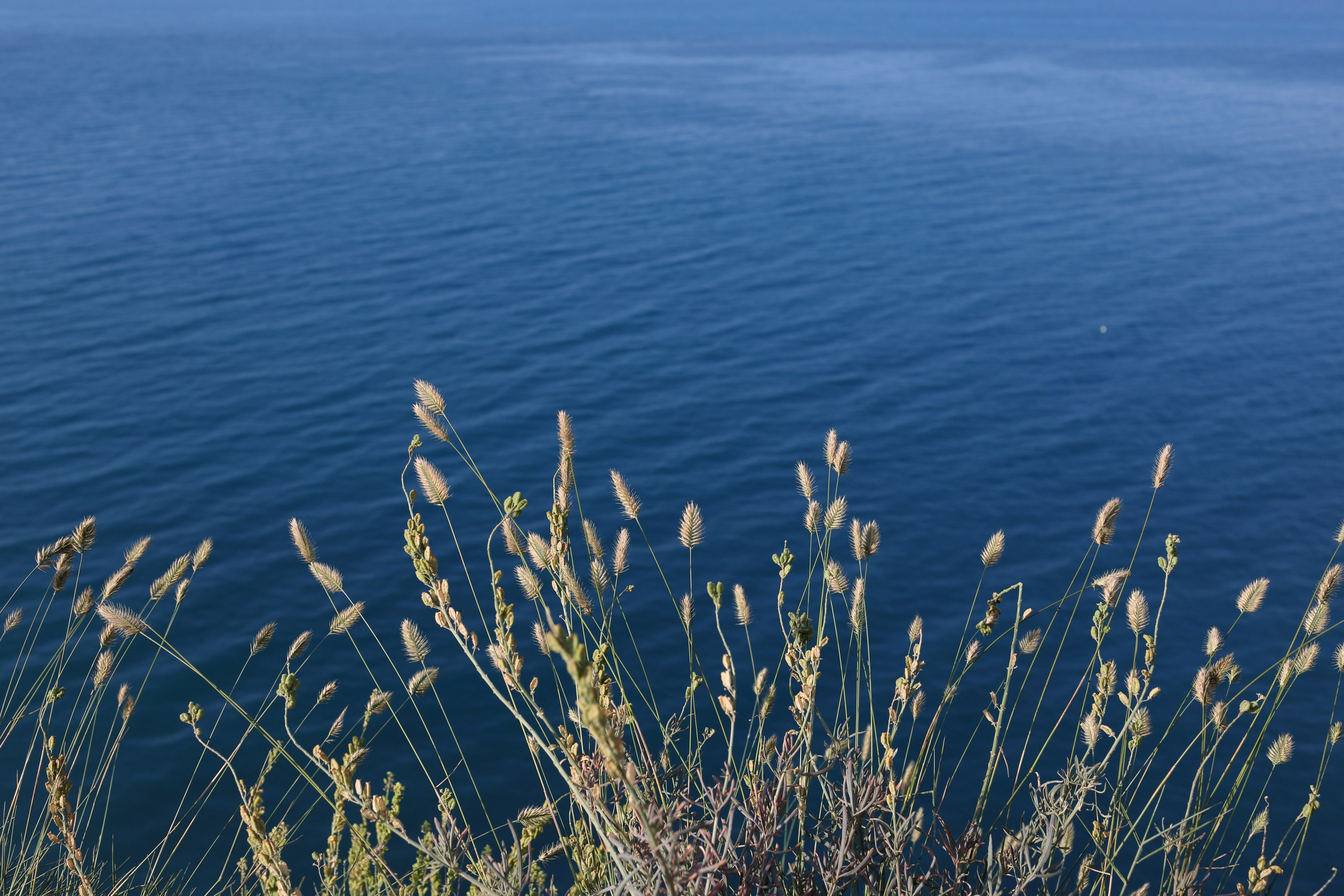 Творческие фотосессии в Москве