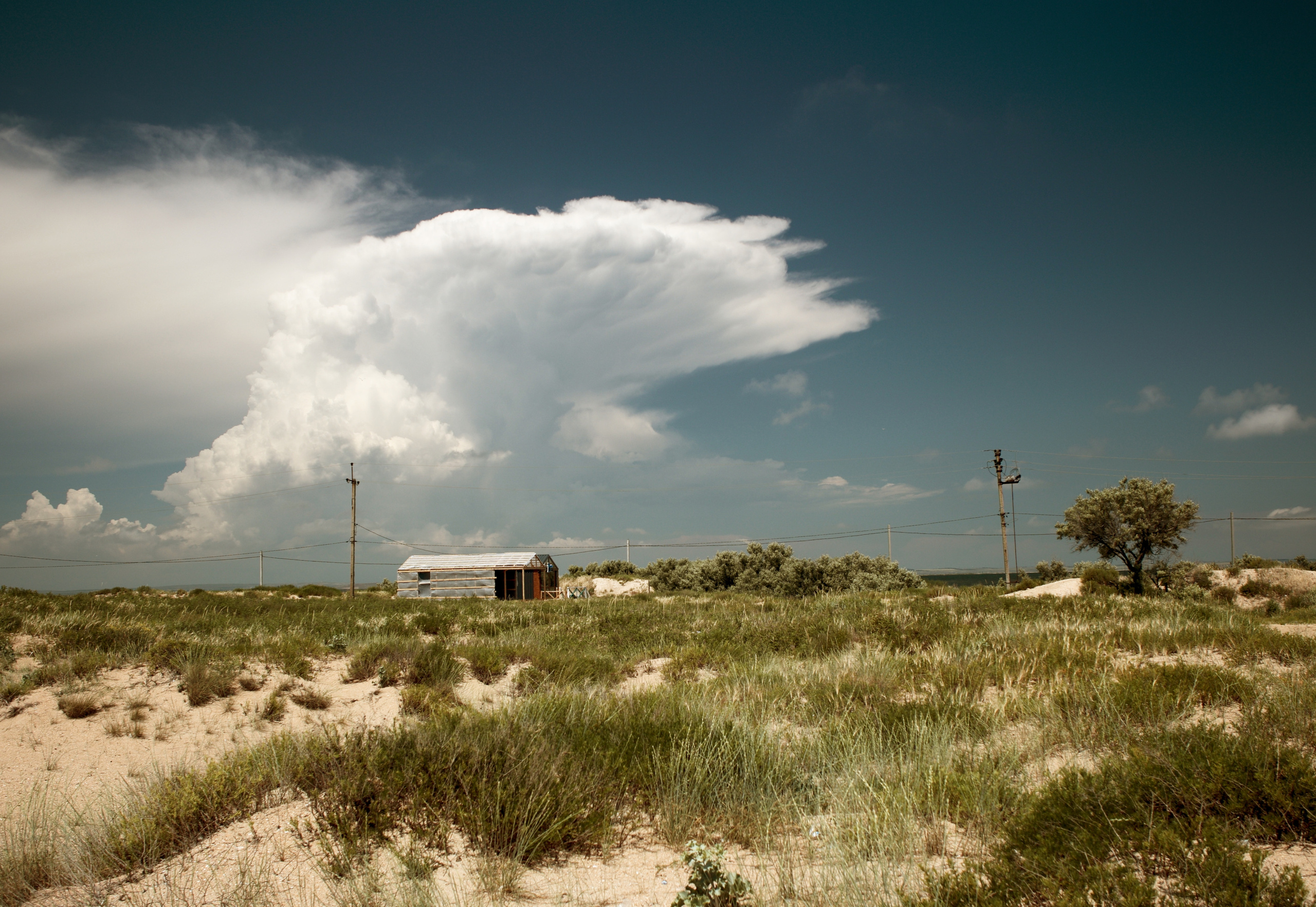 Бургазская коса 