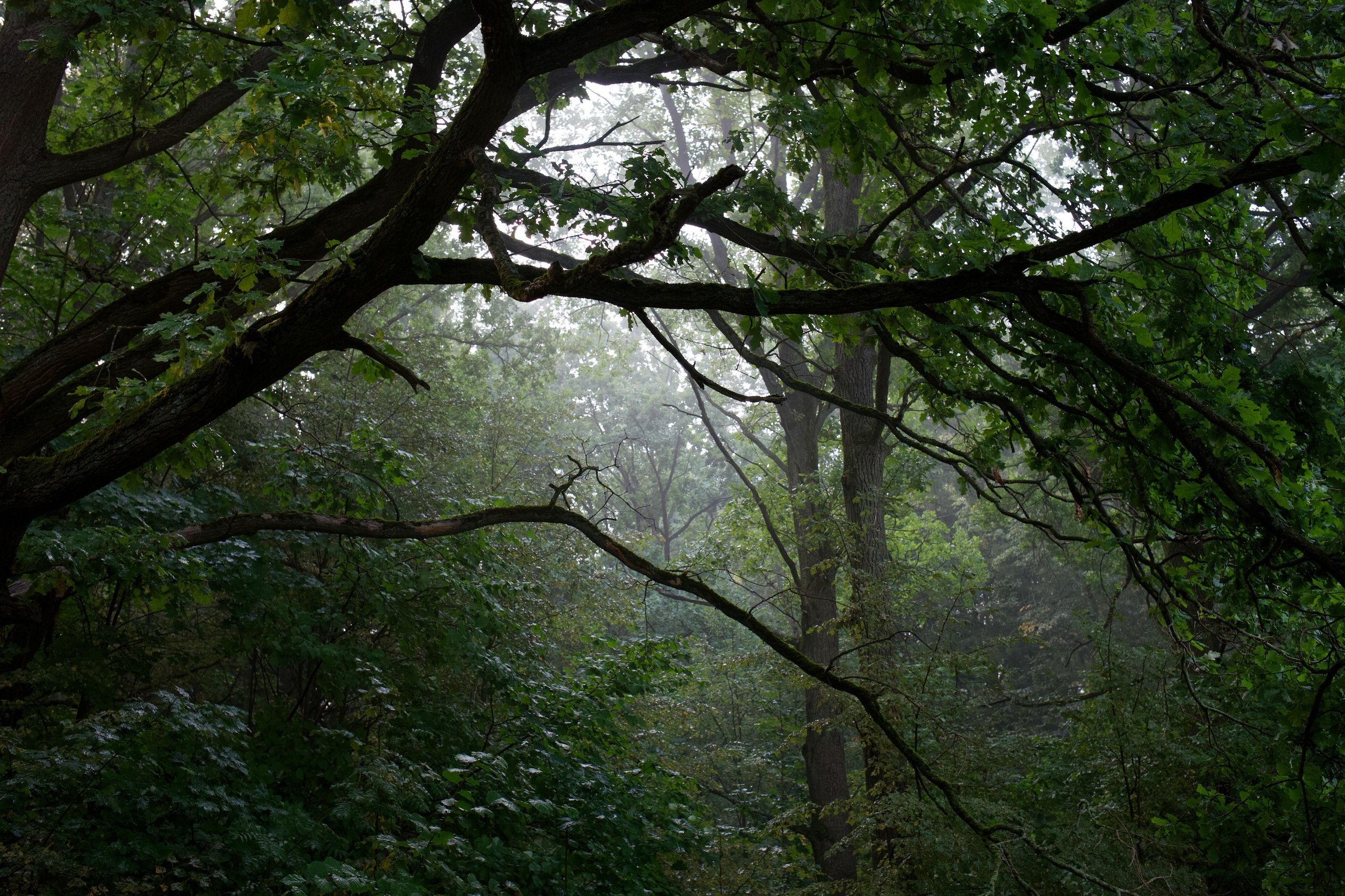 Творческие фотосессии в Москве