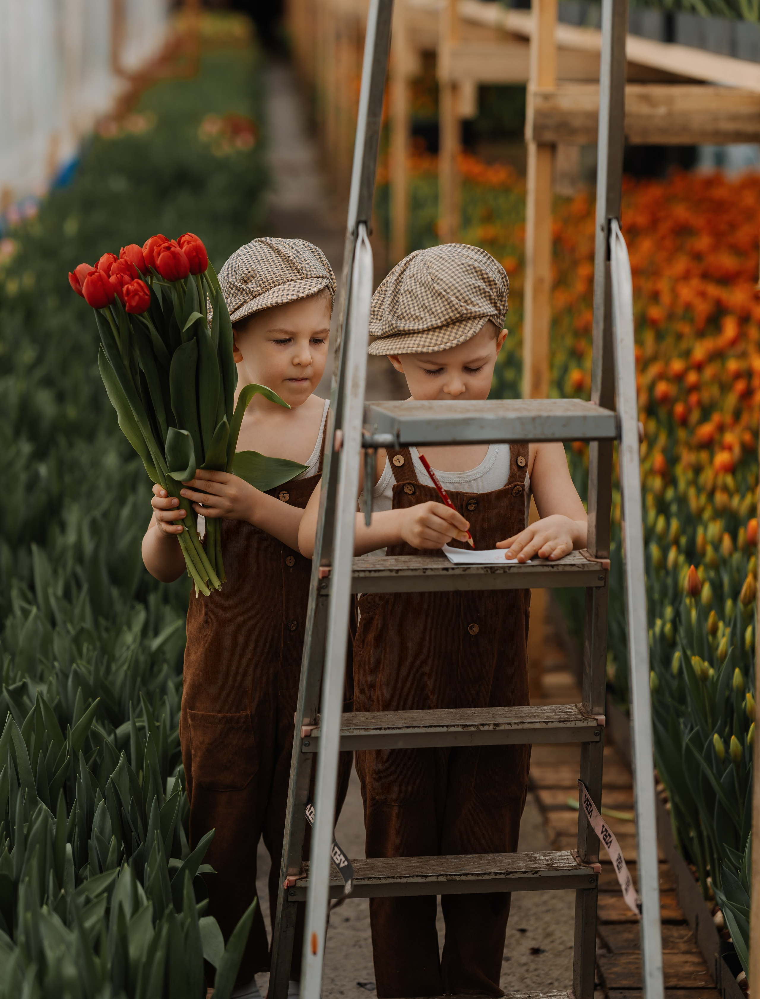 Мальчишки в тюльпанах. СВАДЕБНЫЙ ФОТОГРАФ КРАСНОЯРСК