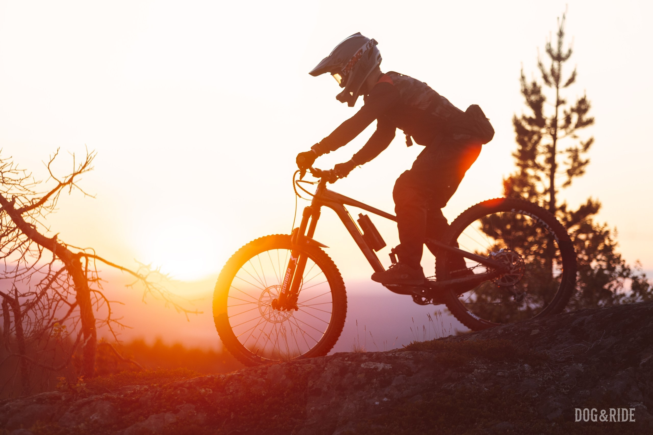 Кандалакшка. Фотограф анималист Никита Натальный