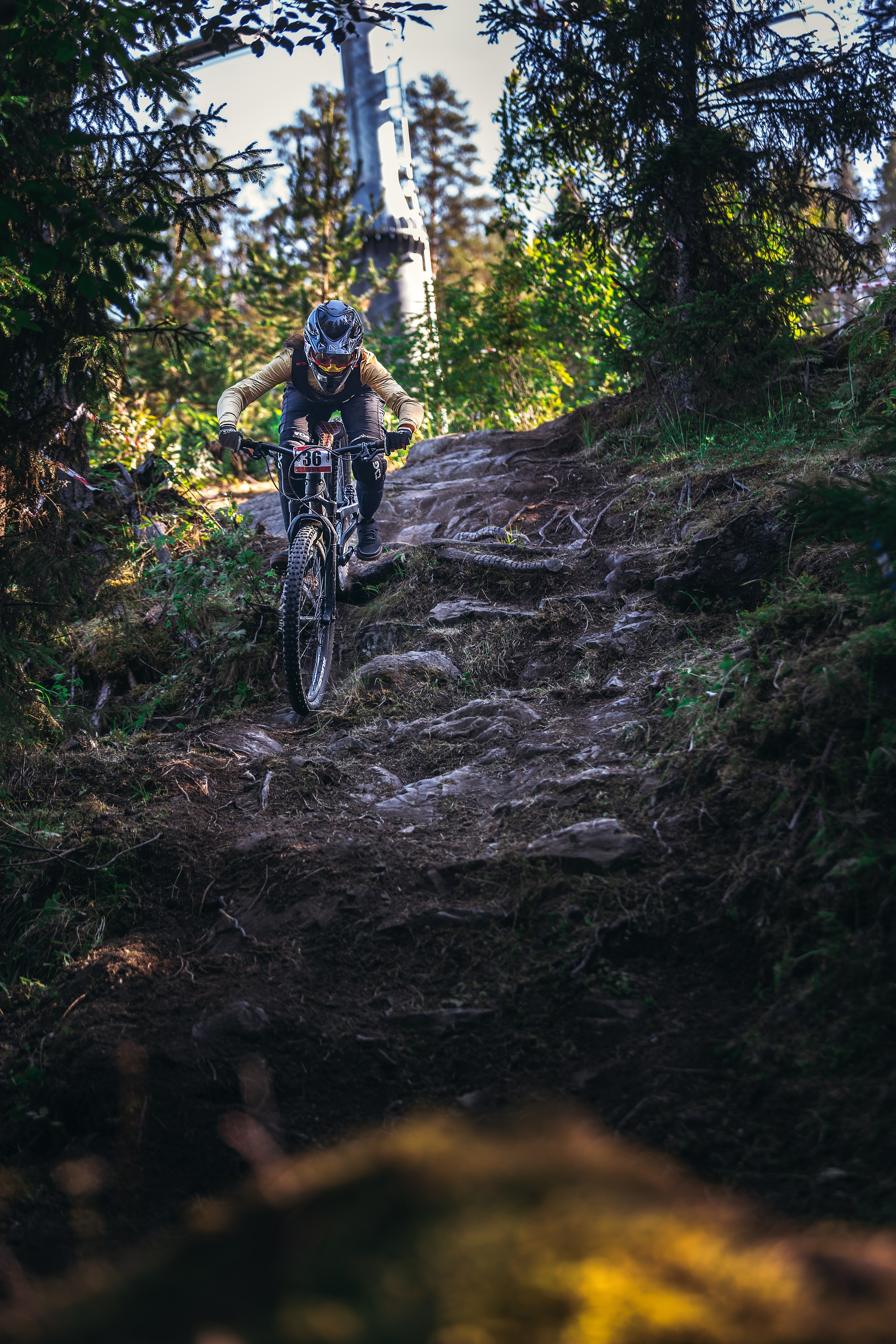 Гонка Ялгора. Фотограф анималист Никита Натальный