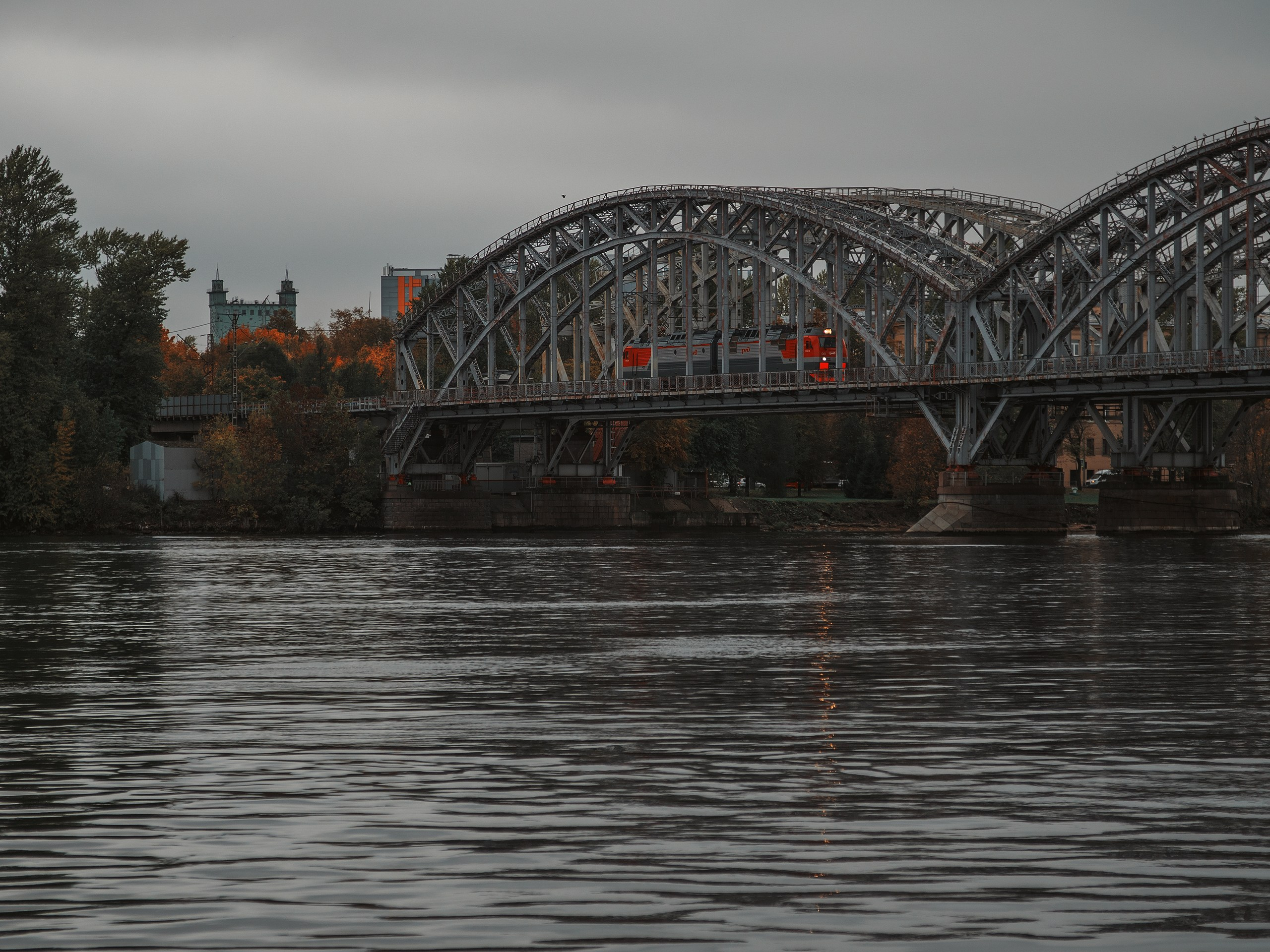 Mondraker. Фотограф анималист Никита Натальный