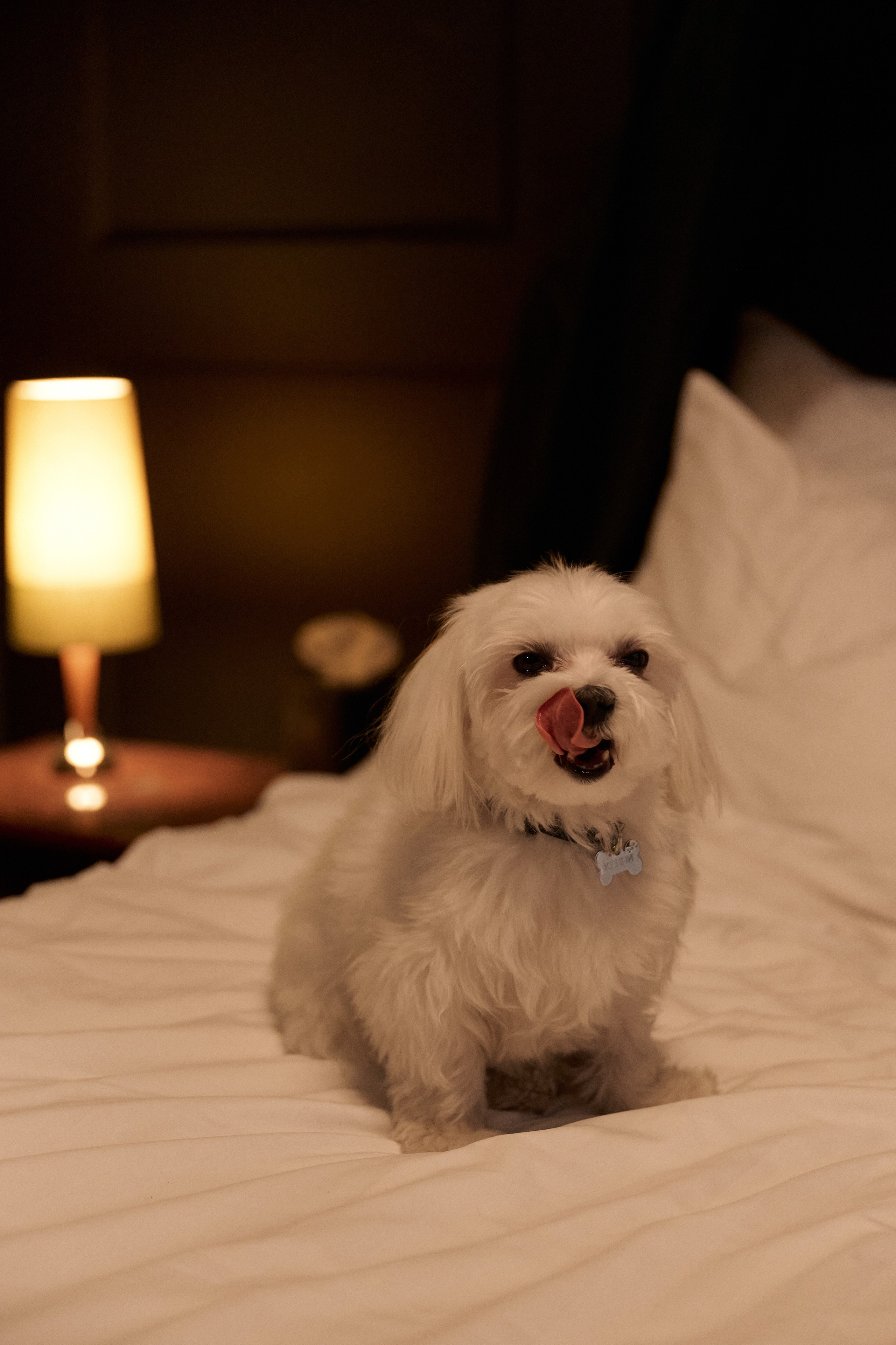 Клим & Полина. Фотограф в Курске Ольга Дудинова