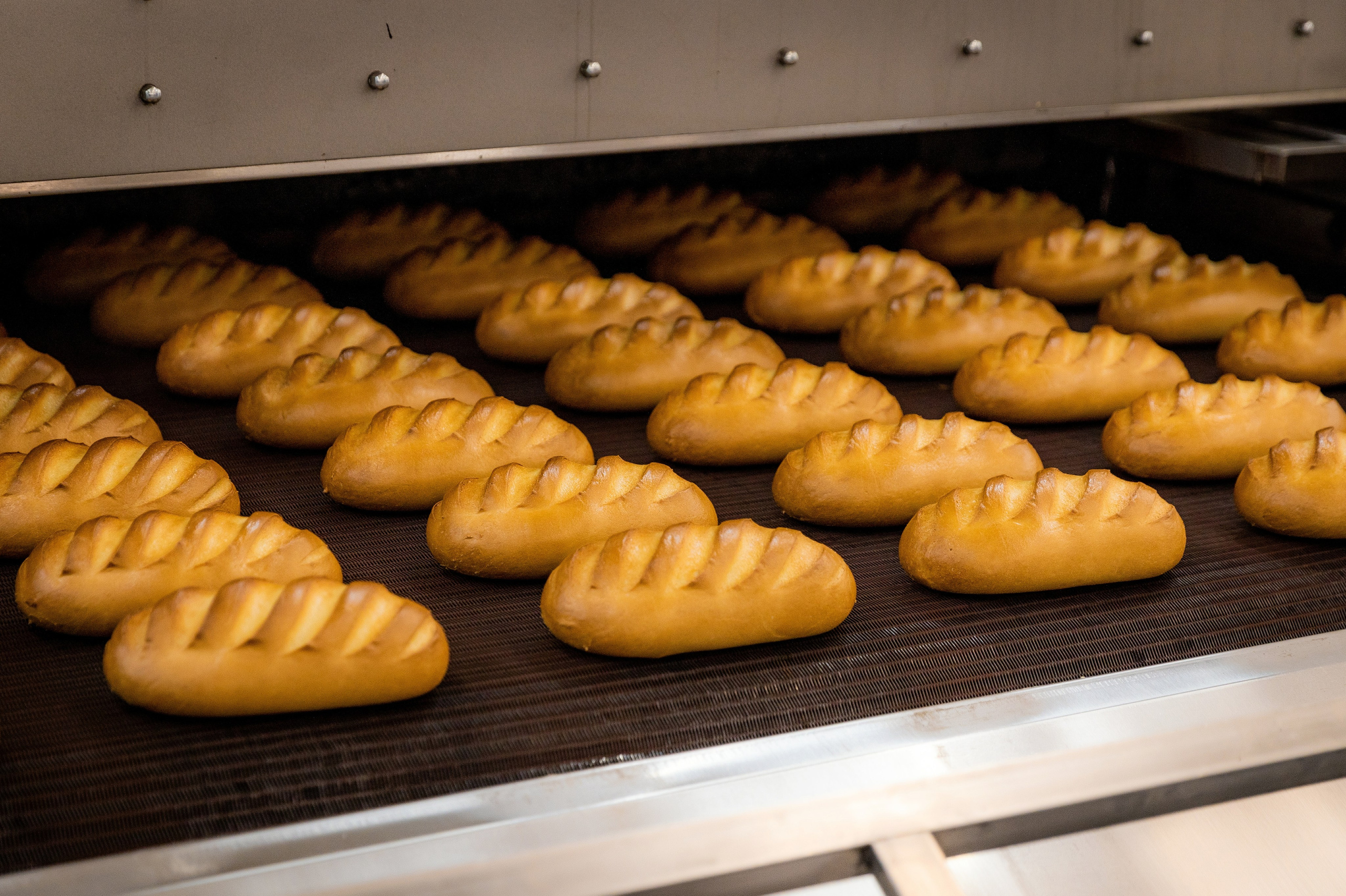 Студийный фотограф в Караганде Алексей Баранов. Фотограф Алексей Баранов. Фотостудия Flash. Семейные фотосессии в Караганде. Индивидуальные фотосессии, детские фотосессии, парные фотосессии в Караганде. Интерьерная фотосессия в Караганде. Семейный фотограф Алексей Баранов. Детский фотограф Алексей Баранов. Художественный фотограф Алексей Баранов. Свадебный фотограф Алексей Баранов. Черно-Белая съемка в Караганде. Самые лучшие семейный и детские фотосессии в Караганде. Контент Съемка в Караганде. SMM в Караганде. Контент фотограф Алексей Баранов. Фотограф Караганда. Фотограф. Предметный фотограф Алексей Баранов. Промышленность. фотосессия на заводе. фотосессия для Календаря в караганде. фотосъемка для книги. фото для буклетов. производство в Караганде. тяжелая промышленность в Караганде. медицина в караганде. Промышленный фотограф Алексей Баранов в Караганде. 