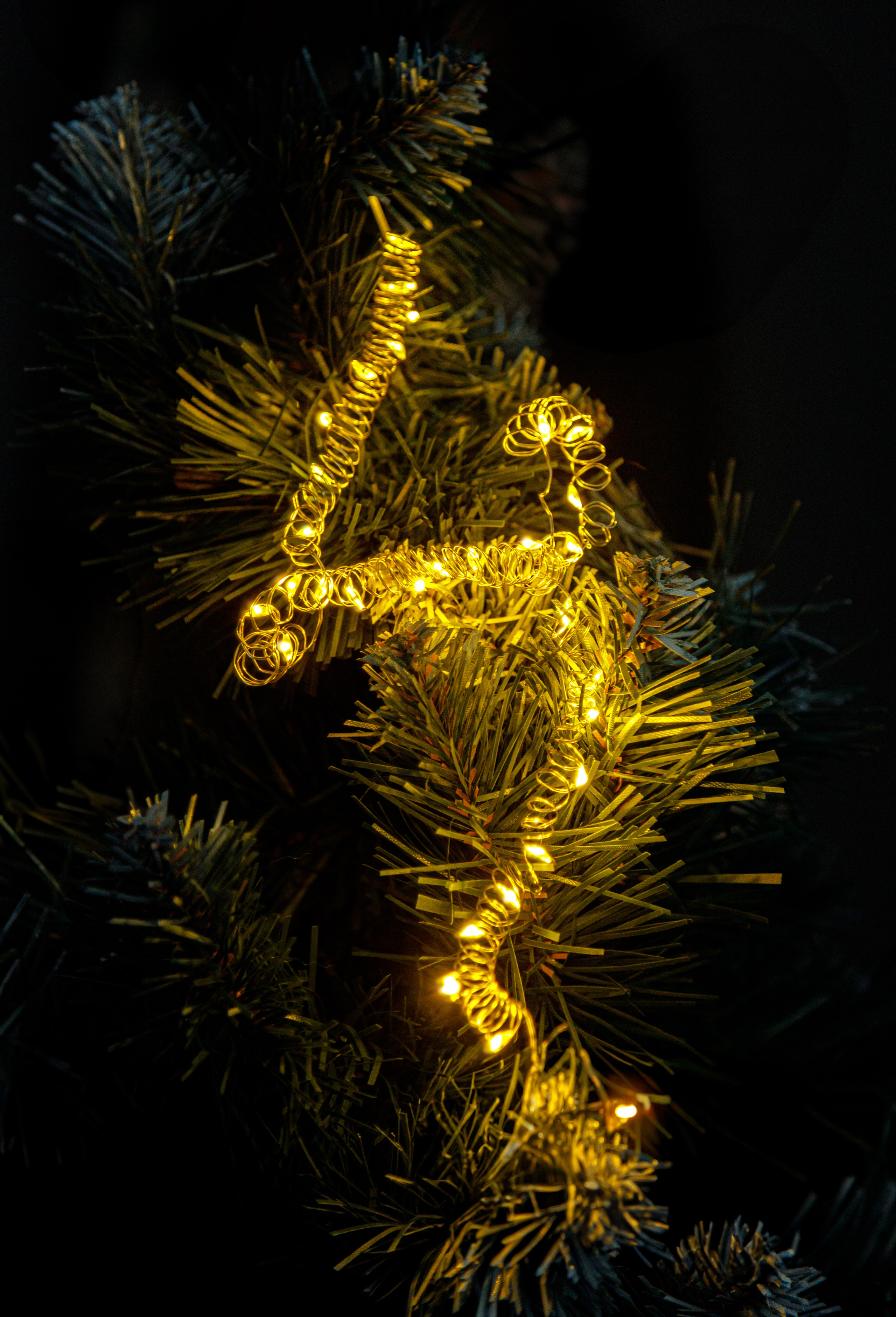 Проект «366»|2024|Фото каждый день. LENA GRACE photographer ||ЛЕНА ГРЭЙС фотограф