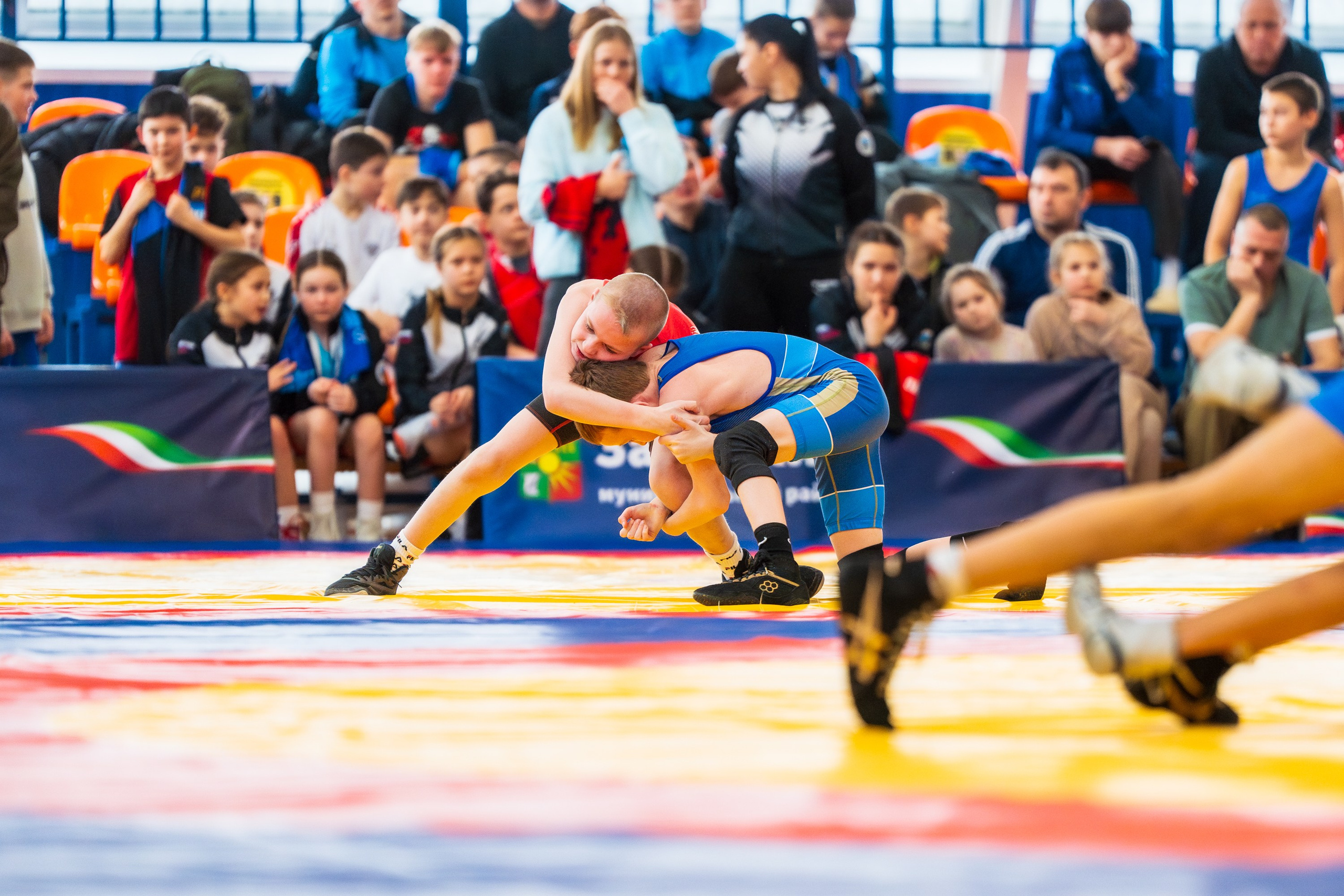 Республиканский турнир по «Вольной борьбе». г. Заинск. 28.02.26. Евгений | Спорт Фото в Татарстане