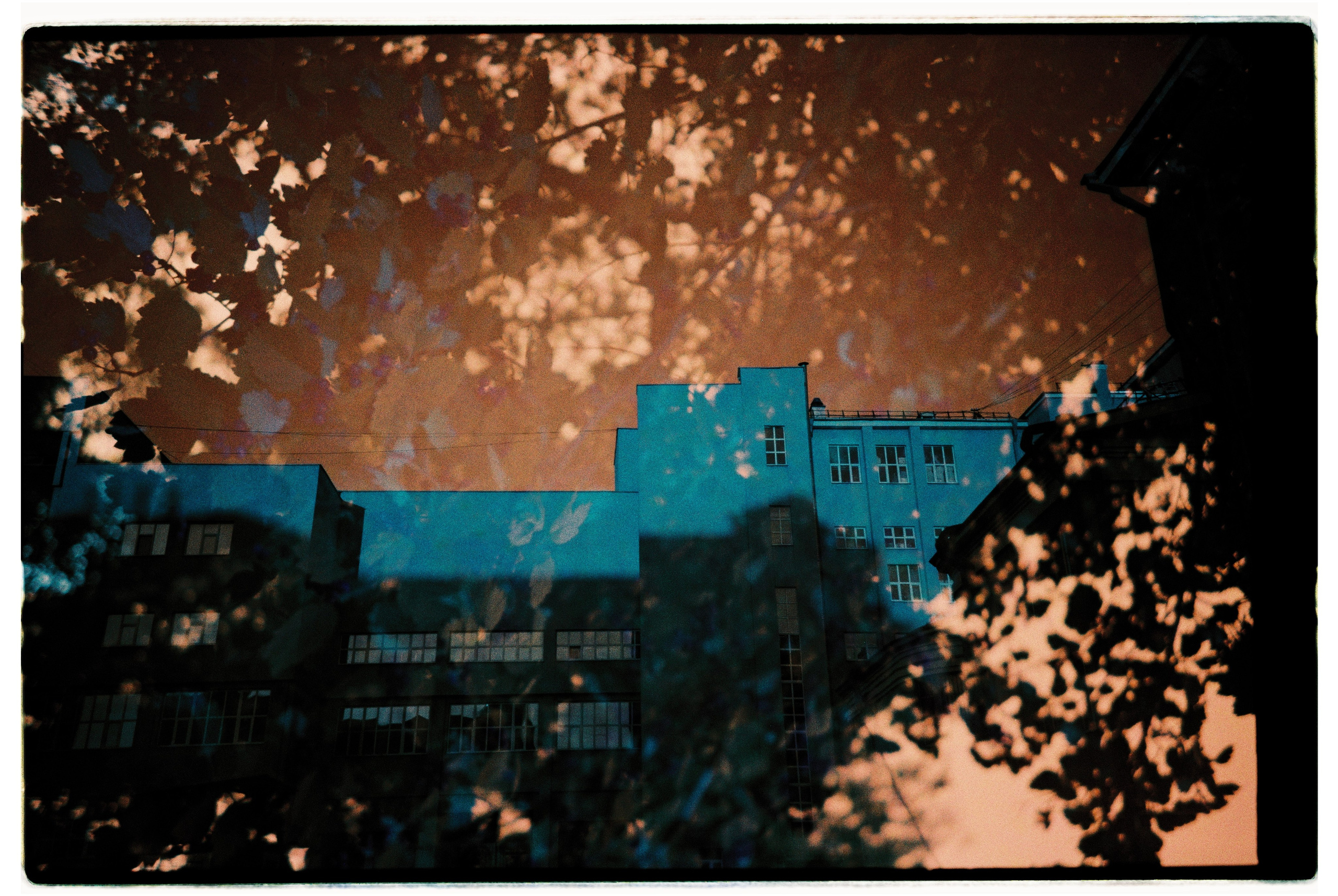 Lifestyle, street and event photography