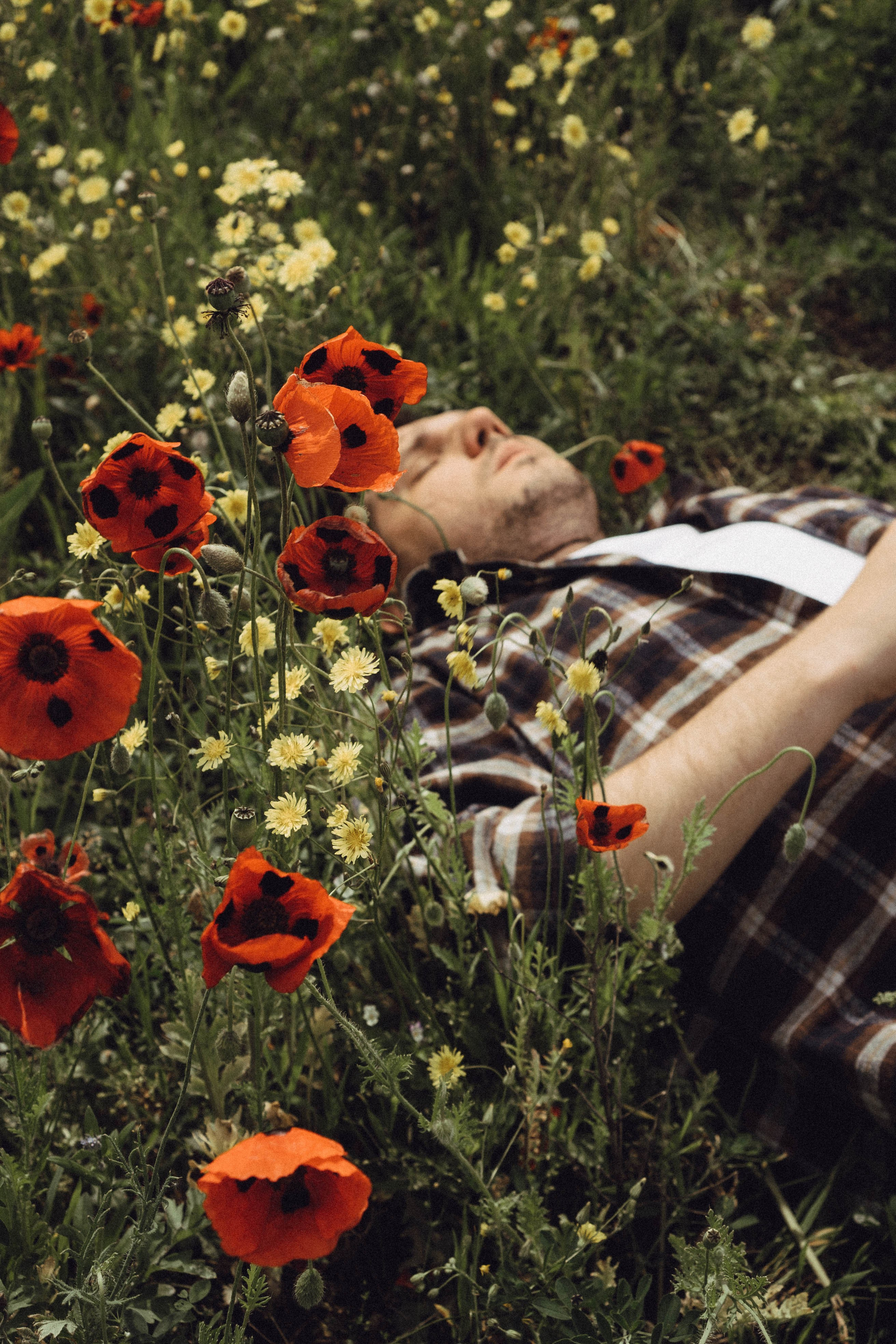 Маки. Профессиональный фотограф, Санкт-Петербург — Виктория Богомолова